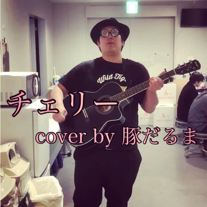 実方孝生のインスタグラム：「豚だるまの音楽は世界を変える 『チェリー』  #豚だるま #チェリー #シンガーソングライター #歌ってみた #うたってみた #カバー曲 #ギター弾き語り #歌好きな人と繋がりたい #歌は癒される #ギターは人生を変える #コメントほしいブー #歌詞は結構間違える #歌詞勝手に変えちゃう #最後メガネ取れたの幕張のスタッフさんにウケたから採用」