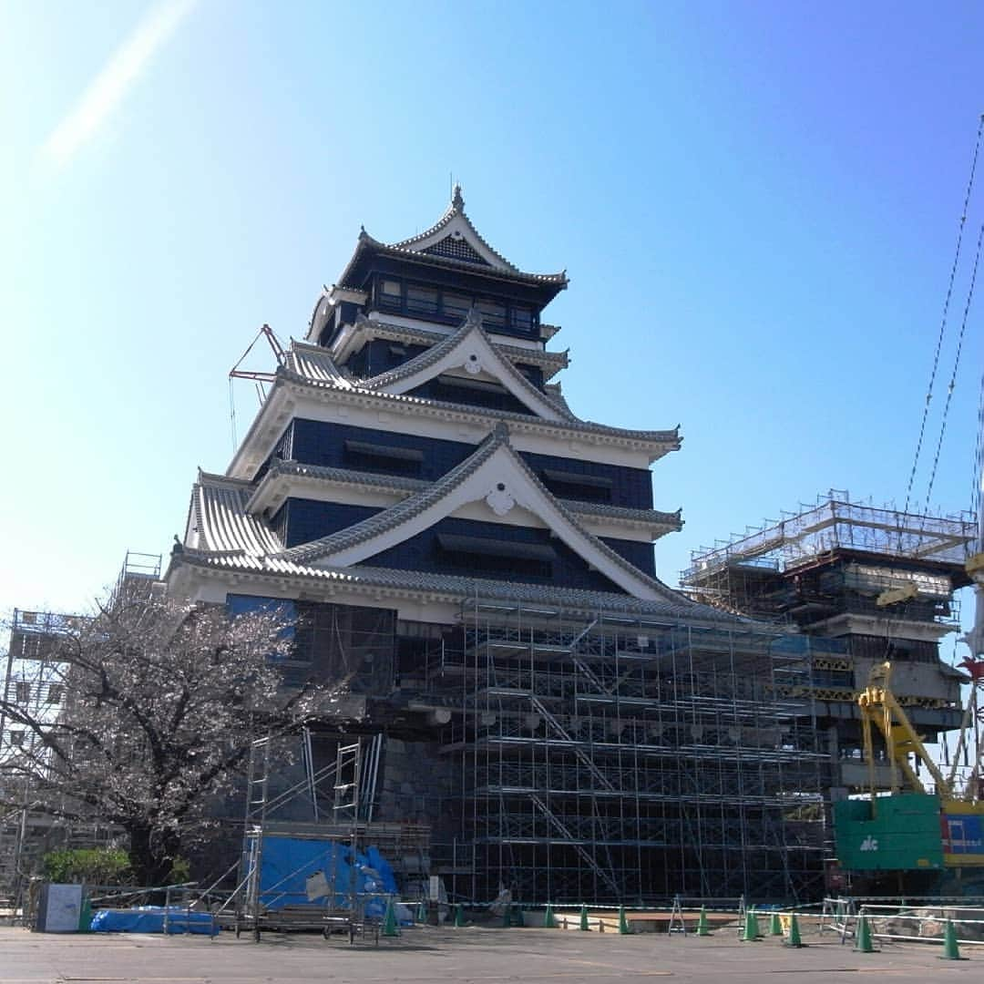 熊本城さんのインスタグラム写真 - (熊本城Instagram)「立入規制エリア内桜情報② 天守閣前の桜は、まだ2～3分咲きといったところです。(2019年3月24日撮影) Photos in the regulated entry area #熊本城 #天守閣 #桜 #熊本 #kumamoto #castle #桜 #cherryblossom #sakura #japansakura #日本 #japan #地震 #earthquake」3月25日 20時02分 - kumamoto_castle