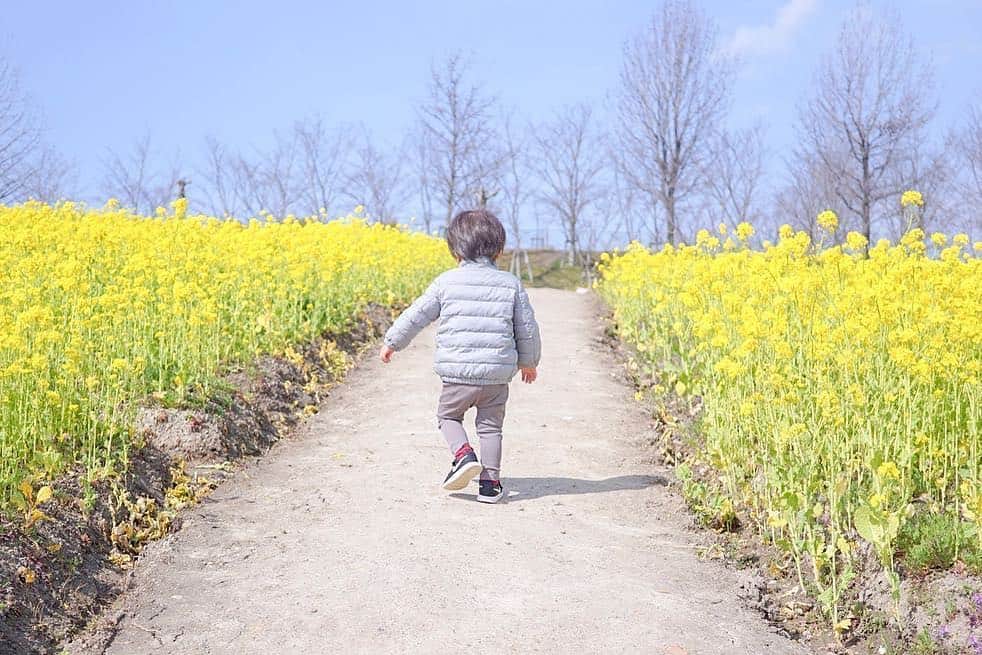 タビスルキッズのグルメインスタ