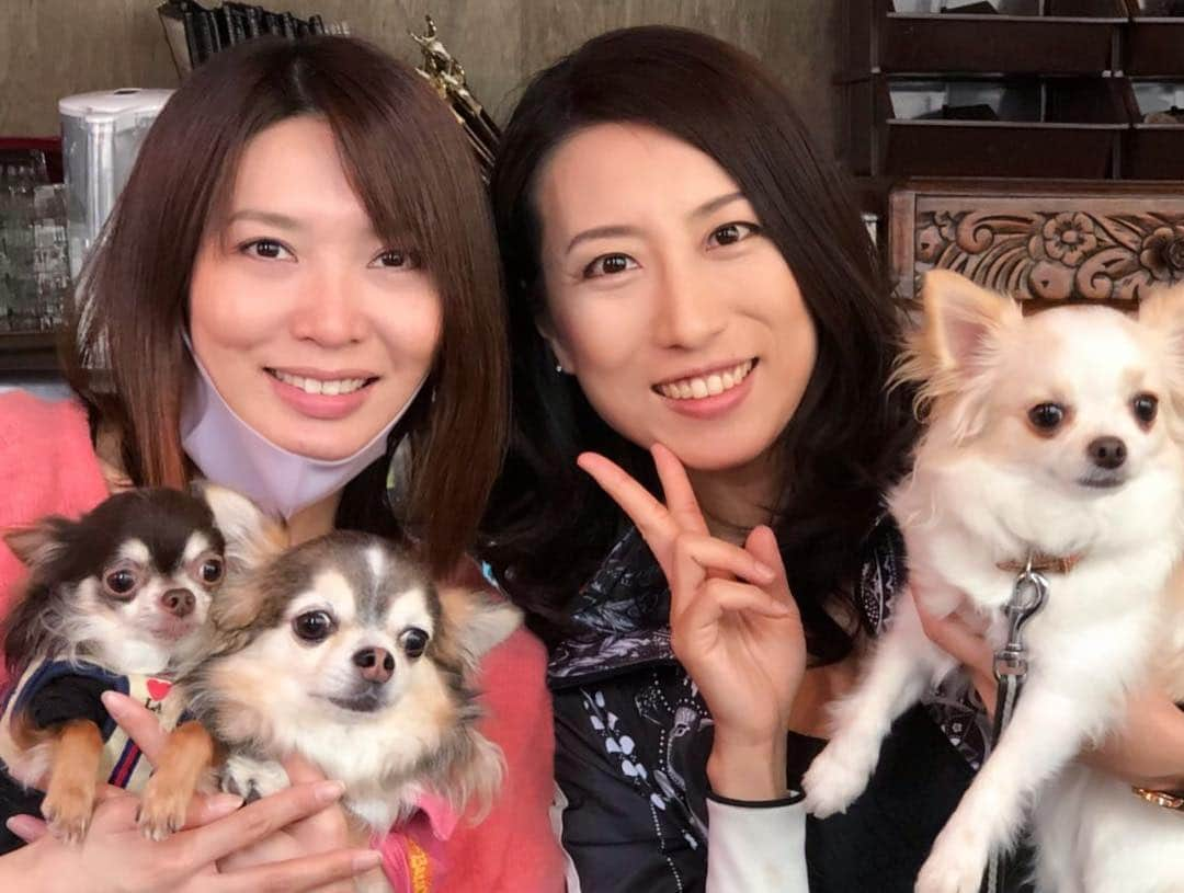 蓮城まことさんのインスタグラム写真 - (蓮城まことInstagram)「🐶 犬会🐶🐾 楽しかったし、元気になったし、ゆっくり出来たし かなり満たされた😍 しょこしゅが嵐の兄弟感ハンパない✨ 全員で写真撮り忘れたなー💦 わんこずは勢揃いで撮ったのに(笑) #犬会 #モカ #しょこら #嵐 #しゅがー #くるみ #うちの子達は #大変嬉しそうでした #飼い主も嬉しそうでした #みんなありがとうでした」3月25日 20時31分 - makotorenjo_king_official