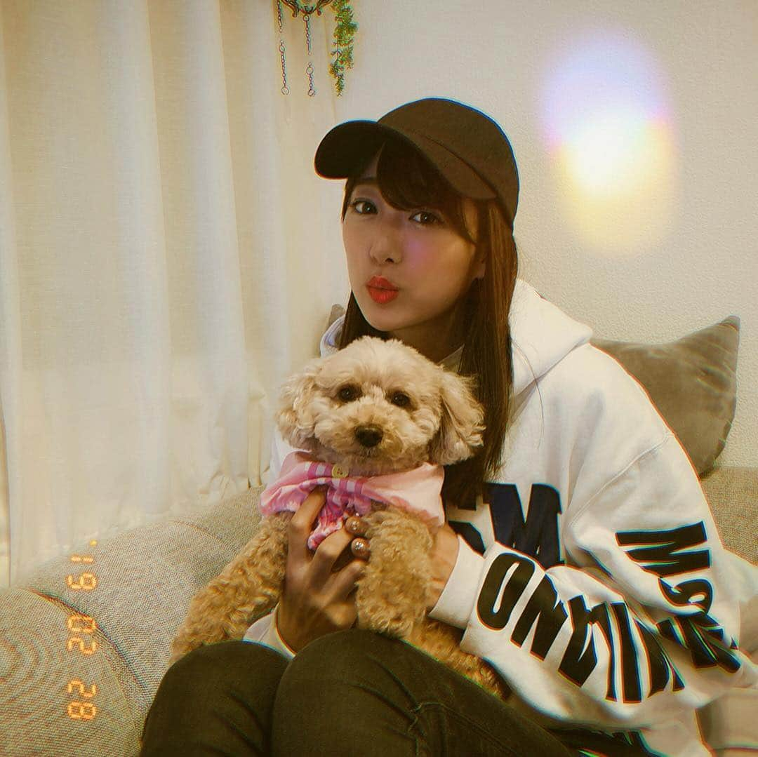 佐々木もよこさんのインスタグラム写真 - (佐々木もよこInstagram)「友達のくぅたん🐶💓﻿ ﻿ わたしのこと好きなの☺️❤️﻿ ﻿ うふふふふ☺️✨﻿ 両想いなの〜💓﻿ ﻿ ﻿ 友達が飼っているんだけど、﻿ ﻿ もよこが友達の家にいない時も﻿ 「あれっ？くうたん、もよこ！？」っていうと﻿ 玄関まで見に行くんだって🥺💕💕﻿ ﻿ 好きなんだけど。﻿ ﻿ かわいすぎるんだけど。﻿ ﻿ ひざに座ってきてくれるし﻿ ぺろぺろしてくれるしかわいくて﻿ やさしいの☺️❤️❤️﻿ ﻿ 来週も会いに行くんだから〜😘✨✨﻿ ﻿ ﻿ ﻿ ﻿ #犬#トイプードル#トイプー#いぬ#ファッション#パーカー#キャップ#dog#dogstagram #dogs #instadog #fashion#ootd#coordinate #magm」3月25日 20時50分 - moyoko_atom