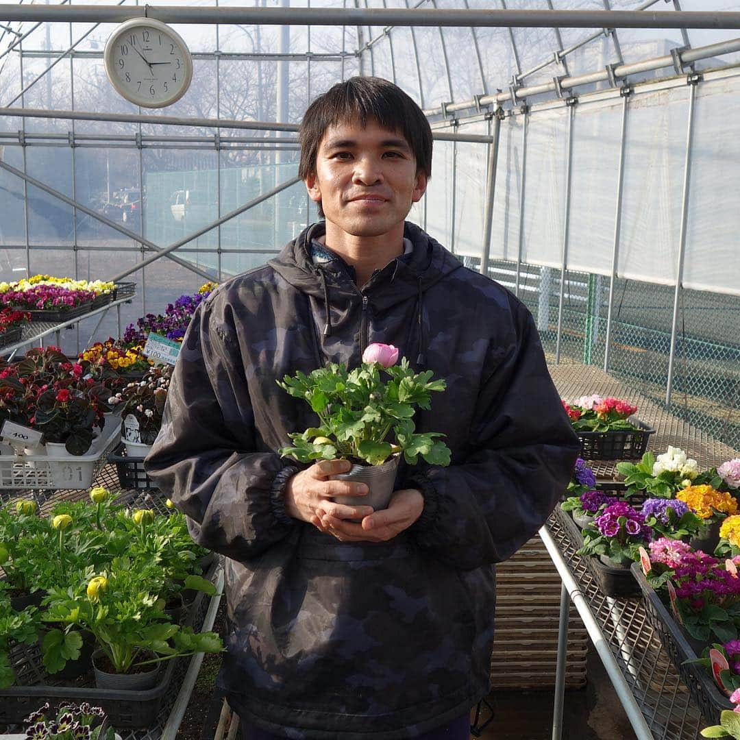 The Japan Timesさんのインスタグラム写真 - (The Japan TimesInstagram)「In this week’s Timeout, Alex Martin looks at the flower business in Japan. He writes: “In a shrinking industry, independent florists such as [Tsuyoshi] Hirasawa often endure long, cold, poorly paid hours to stay afloat. However, the blooms and bouquets he assembles celebrate relationships, console the sick and infuse color in the drab monochrome of everyday life. There’s a story behind each order, a sentimental element obscured by the urban hustle but treasured by those in the centuries-old trade.” Story link in the bio. (Alex Martin photos) . . . . . #flowers #florists #Otashijo #花 #花屋 #太田市場」3月25日 20時50分 - thejapantimes