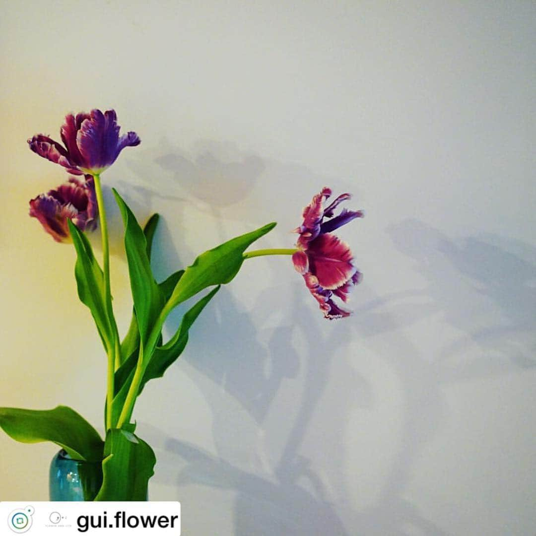 MEET at Marunouchiさんのインスタグラム写真 - (MEET at MarunouchiInstagram)「#repost @gui.flower .  春分の日。桜の花束は無事に皆様のお手元に届きましたか？ 今週はたくさんのguiの花束を丸の内ファッションウィークへお届けする予定です。ぜひ丸の内に遊びにいらしてくださいね！ ・ ・ @marunouchi_com ・ #丸の内ファッションウィーク #丸の内ドットコム #guiflower #丸の内  #丸の内散歩 #フラワーワゴン #flowerstagram #flower #インスタレーション」3月25日 20時53分 - marunouchi_com