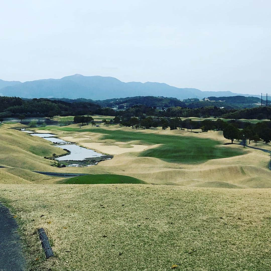 TOGGYのグルメインスタ