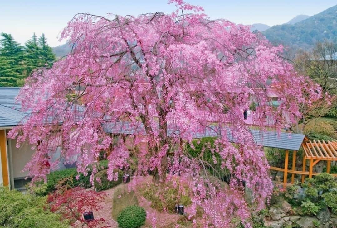 Relux | リラックスのグルメインスタ