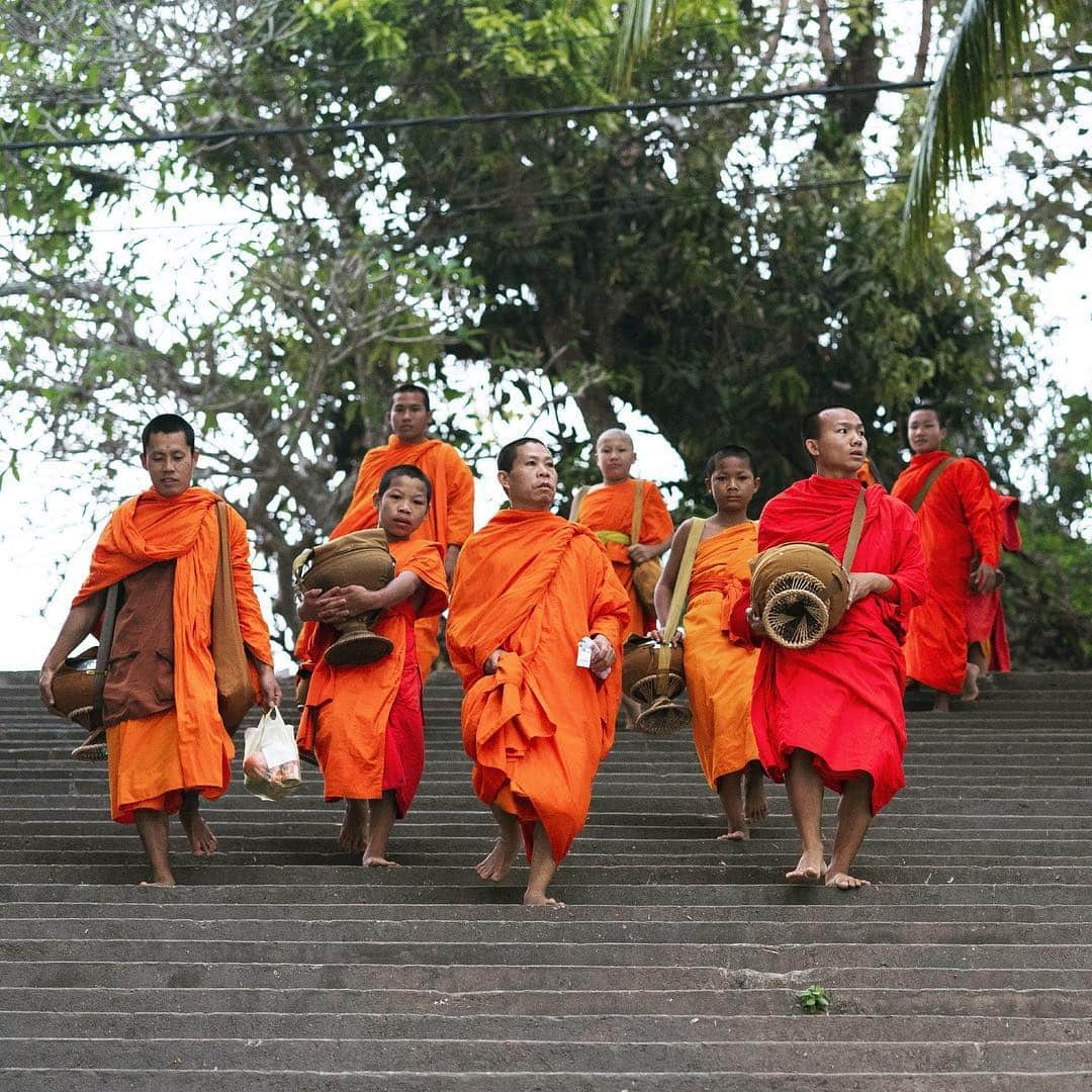 thephotosocietyさんのインスタグラム写真 - (thephotosocietyInstagram)「Photo by @irablockphoto || A group of monks head back to their Monastery in Luang Prabang Laos after morning almsgiving - collecting rice and food from locals. When I am in a part of the world with Buddhist monks I always go out before dawn to photograph this traditional event.  The soft early morning light makes the monk's colorful robes stand out. #monks #buddhism #laos #luangprabang #travel #almsgiving」3月25日 21時13分 - thephotosociety