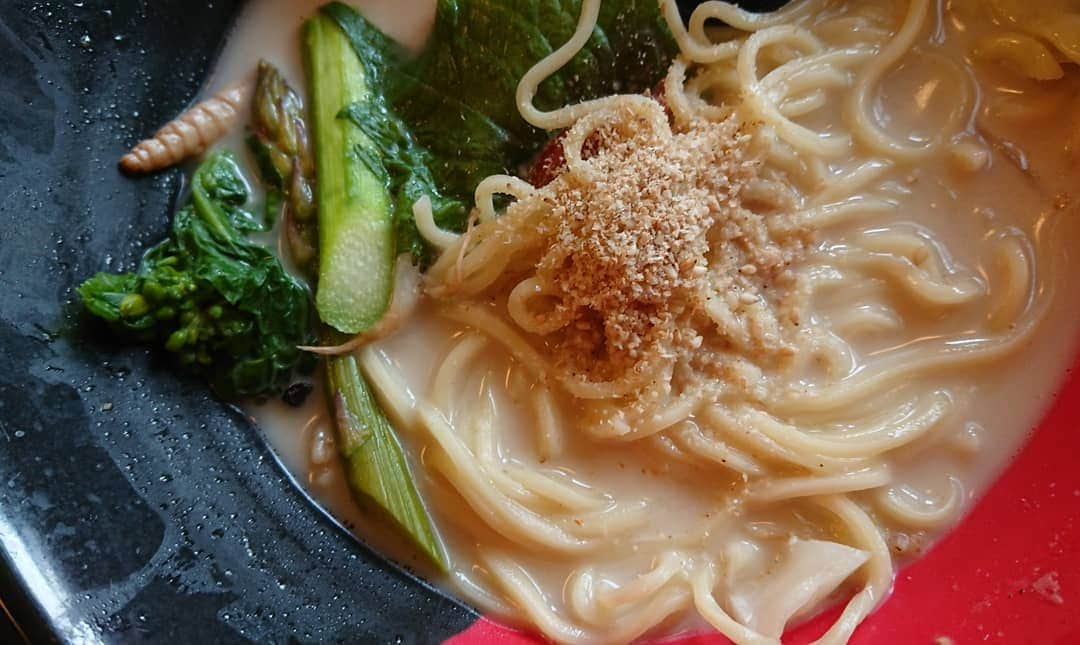 桜花さんのインスタグラム写真 - (桜花Instagram)「天狗ラーメン＼(^^)／🌷🗻 私、豆乳好きなので最高です🍀  白天狗ラーメンにしました！ まろやかで、すりごまをいれると風味がアップ！ 種類も三種あります🍀  うまさチョモランマ級🗻🌼 #天狗ラーメン  #高尾山  #山登り #白ごま豆乳  #白天狗ラーメン #tengu  #tonyu  #mountain #mountains」3月25日 21時07分 - mountainohka