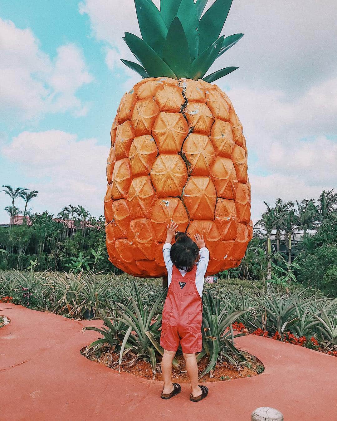 -LIFE IS FUN-さんのインスタグラム写真 - (-LIFE IS FUN-Instagram)「. ☺️🍍❤️ #マタニティ  #善太のいる生活 #ゆるりとした生活 #沖縄 #maternity  #family  #familyphoto」3月25日 21時08分 - kiyoko1207