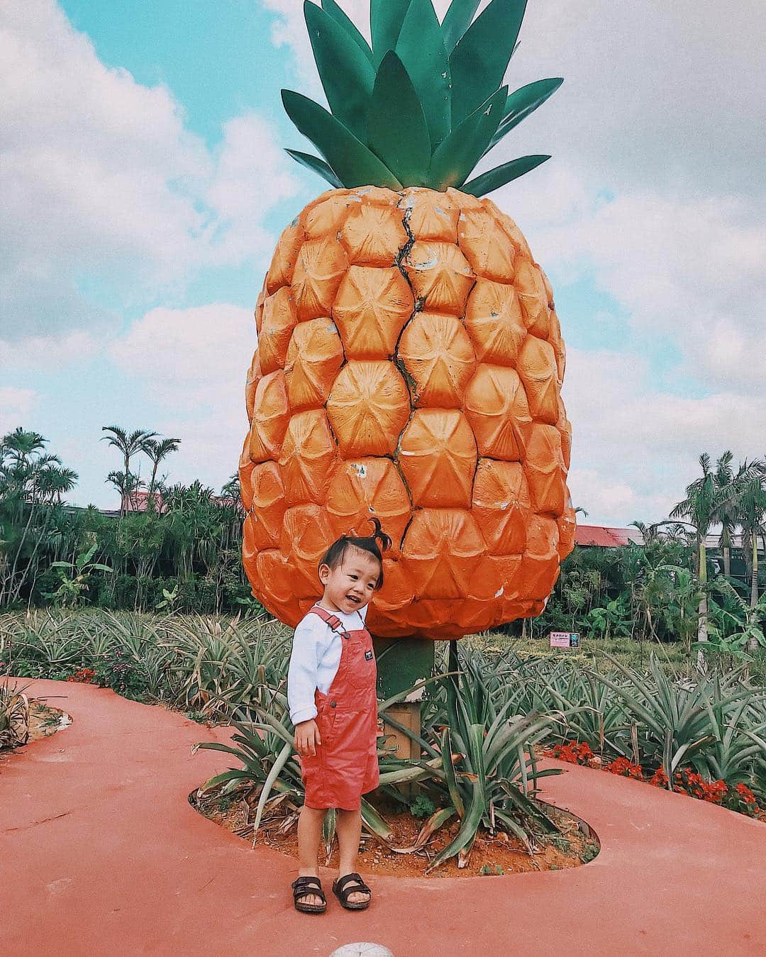 -LIFE IS FUN-さんのインスタグラム写真 - (-LIFE IS FUN-Instagram)「. ☺️🍍❤️ #マタニティ  #善太のいる生活 #ゆるりとした生活 #沖縄 #maternity  #family  #familyphoto」3月25日 21時08分 - kiyoko1207