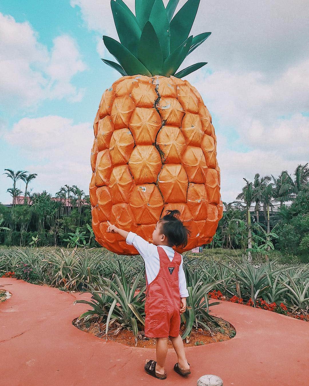 -LIFE IS FUN-さんのインスタグラム写真 - (-LIFE IS FUN-Instagram)「. ☺️🍍❤️ #マタニティ  #善太のいる生活 #ゆるりとした生活 #沖縄 #maternity  #family  #familyphoto」3月25日 21時08分 - kiyoko1207
