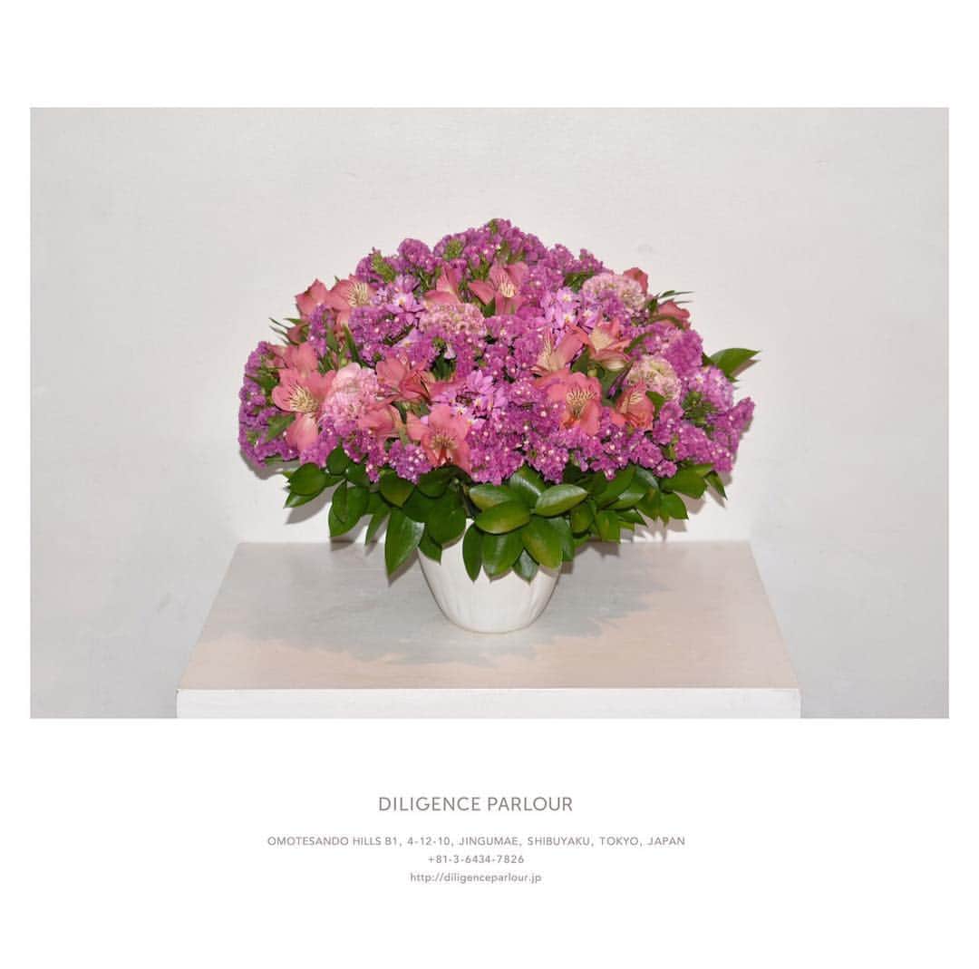 GO AKIMOTOさんのインスタグラム写真 - (GO AKIMOTOInstagram)「誕生日のお祝いに "DILIGENCE PARLOUR" のフラワーアレンジメントを✨💐👏🏻 Flower arrangement @diligenceparlour @ochiyasutaka」3月25日 22時24分 - go_akimoto