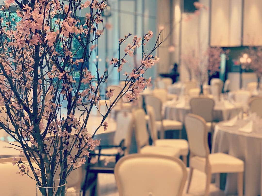 迎賓館さんのインスタグラム写真 - (迎賓館Instagram)「. 満開の桜で皆様をお迎えした 【SAKURA dinner 2019】 . 迎賓館は 挙式の後にも皆様が帰ってきていただけるよう  年に3回の“おかえりなさいイベント”を開催しています . 春のおかえりなさいイベントが 今日無事に開催できたこと たくさんの「ただいま」を聞けたこと 本当に幸せです . 次は夏に「おかえりなさい」と皆さまをお迎え出来ること 心より楽しみにしています . . #ブーケ #カクテルドレス #ghkwedding . #心がふるえる最幸の一日を #迎賓館 #万博記念公園 #geihinkan #万博迎賓館 #結婚式 #結婚式場  #ゲストハウス #関西花嫁 #大阪 #ウェディングニュース #関西プレ花嫁 #全国のプレ花嫁さんと繋がりたい #日本中のプレ花嫁さんと繋がりたい #ウェディングニュース  #wedding #ウエディング #プロポーズ #結婚式準備 #プレ花嫁  #結婚式レポ #love #instagood #marry花嫁 #ちーむゼクシィ #プラコレ」3月25日 22時20分 - geihinkan1970
