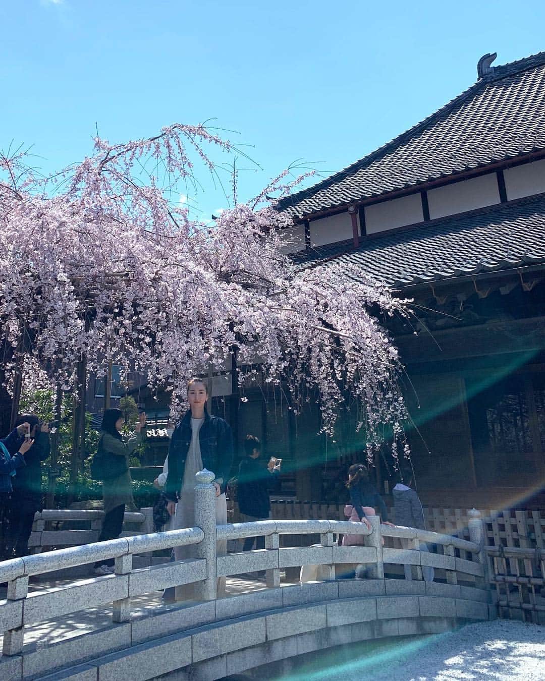 東麻美さんのインスタグラム写真 - (東麻美Instagram)「今春、初花見🌸 太陽と愛の輪に囲まれての図。 おチビはシャイガール。 こチビは絶賛凝視の熱視線。 大丈夫。食べないから。ぶちゅ💋 #桜#花見#2019 #love#cherryblossom」3月25日 22時20分 - asamihigashi