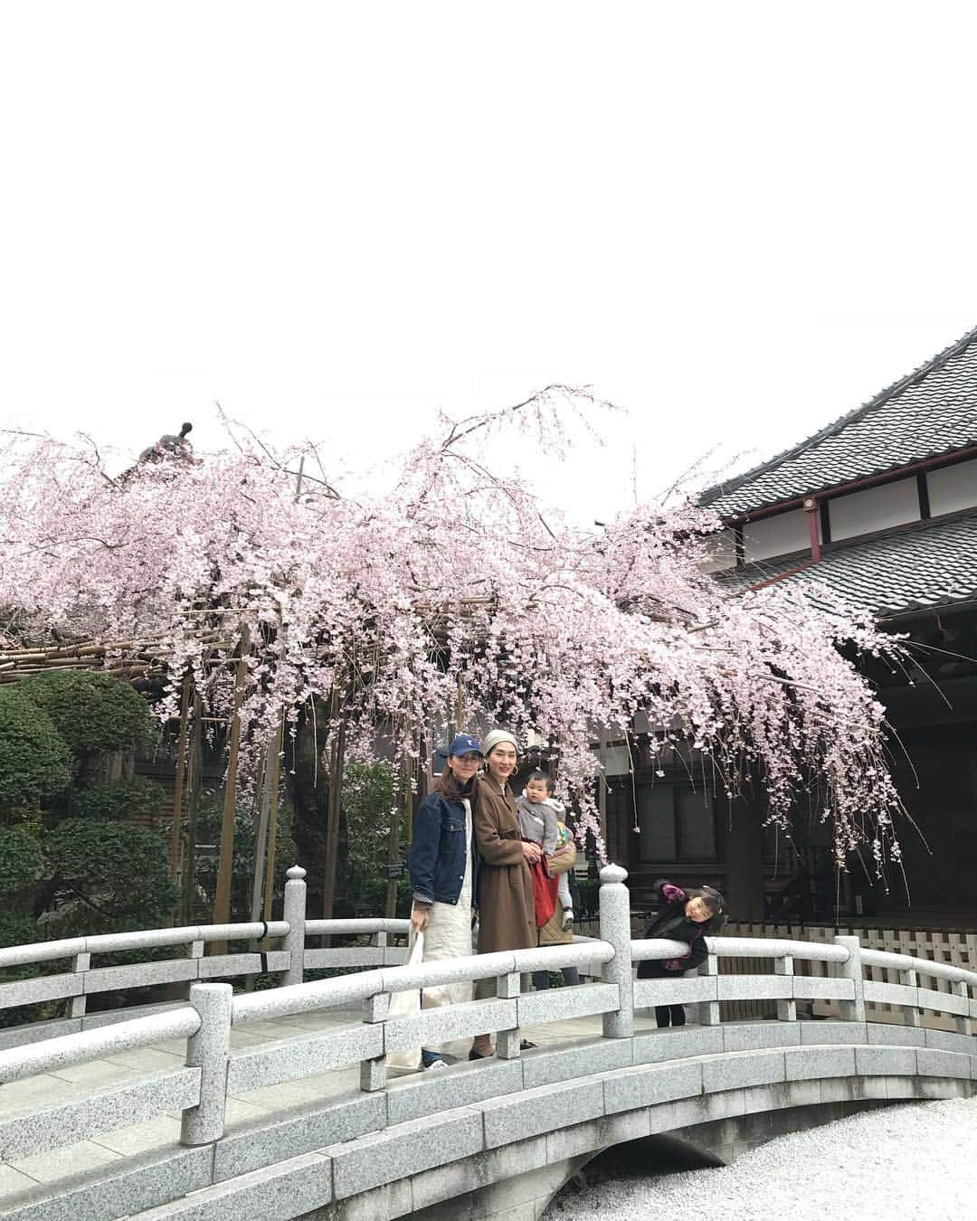 東麻美さんのインスタグラム写真 - (東麻美Instagram)「今春、初花見🌸 太陽と愛の輪に囲まれての図。 おチビはシャイガール。 こチビは絶賛凝視の熱視線。 大丈夫。食べないから。ぶちゅ💋 #桜#花見#2019 #love#cherryblossom」3月25日 22時20分 - asamihigashi