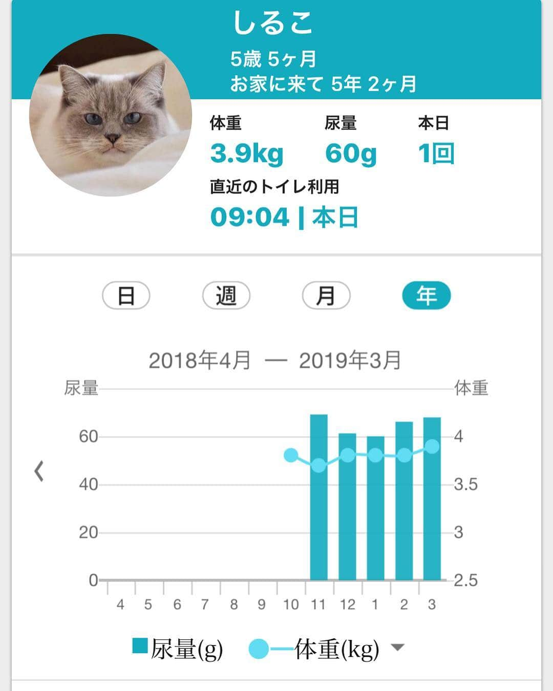 しるこさんのインスタグラム写真 - (しるこInstagram)「2019.3.25 10月末から使い始めたペットケアモニターも5ヶ月が経ちました。 年間データも少し形になってきました。(2枚目)  3枚目は5ヶ月分のデータ一覧です。 体重の増減、オシッコの量、トイレの滞在時間など、データはずっと残るので振り返ってみるのに助かります。 一時は体重が少なくなった時期もありましたが、最近は食欲も少し戻って3.9キロに増えました☺️ 痩せる前は4.2キロあったのでその頃の体重に戻ってくれたらいいなと思います。(4キロ超えてる時は輸液後のデータです) . 今回で、ペットケアモニターについての投稿はおしまいですが、おトイレは引き続き使用していきたいと思っています。 毎日使用するおトイレで健康管理が出来るなんて大変画期的ですよね☺️ .  ペットケアモニター公式サイト https://pethealthcare.sharp.co.jp/?utm_source=plink&utm_medium=referral&utm_campaign=201809 短縮版:http://bit.ly/2NBgYpu . プロフィールにURL貼っておきました☺️ . #ペットケアモニター #シャープ .  #無敵の親バカ同盟 #スタペグラム #みんねこ#ふわもこ部 #ペコねこ部 #picneko#IGersJP#pecon#cats_of_world #catsofinstagram #instagramjapan #ねこ#猫#neko#cat#cats #ラグドール#ragdoll #ragdollcat#ragdollcats #ラグドールしるこ」3月25日 22時32分 - shirukotan