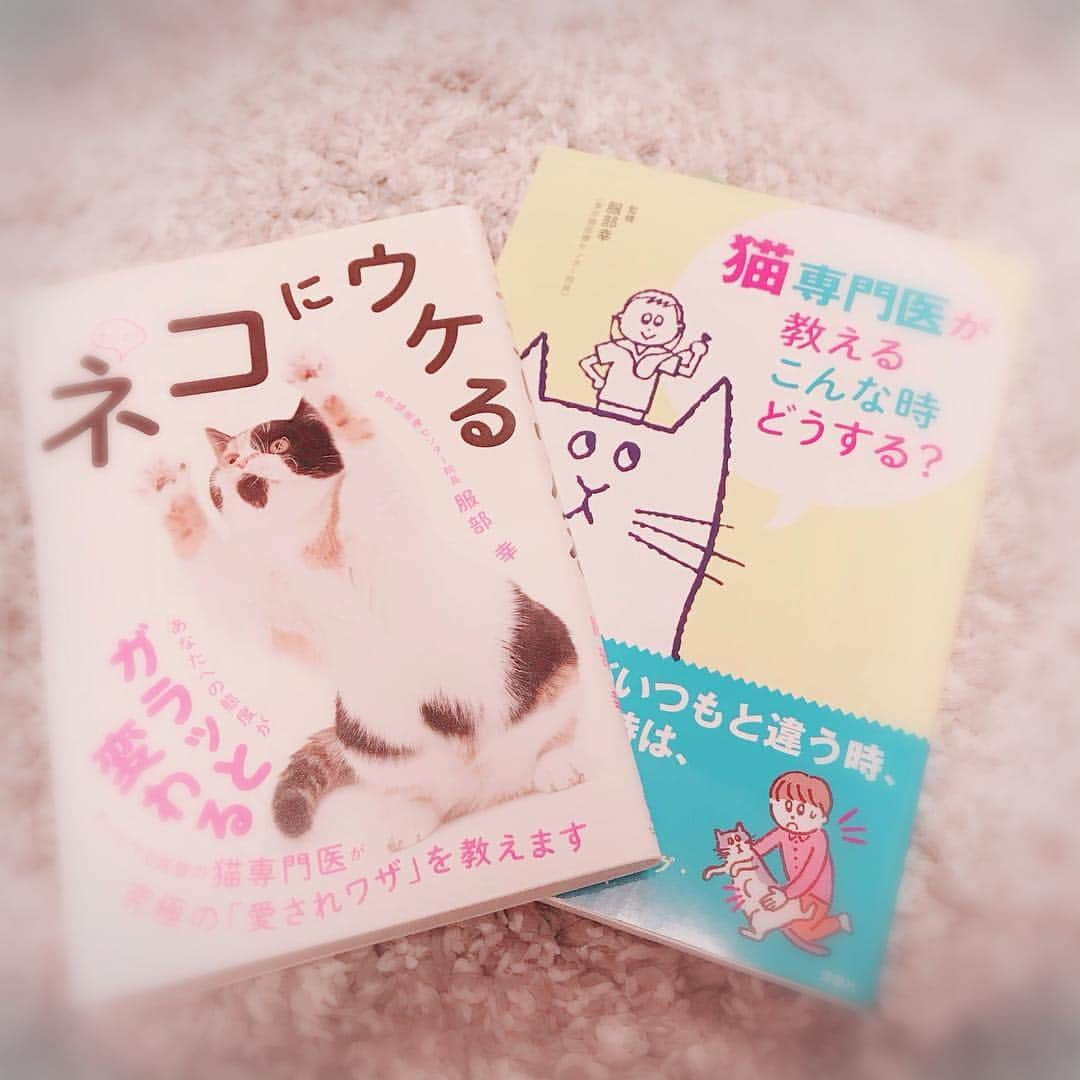 宇月颯さんのインスタグラム写真 - (宇月颯Instagram)「.﻿ ·﻿ 毎日『 笑う男』のお稽古、頑張っています✊✨﻿ 舞台を創っていく面白さや、悩みながらも役作りをしていく楽しさ、出来ないことや挑戦する事がある有り難さ…色んなことを感じながら、充実したお稽古をさせて頂いております🙏✨﻿ ﻿ そんな毎日を癒してくれる愛猫ポテ🐈💕﻿ ﻿ ただ、癒して貰うばかりではなく、毎日留守番ばかりだったり色んな事を我慢してもらっているポテの為に何をしてあげられるのか、とか…ポテにもストレスなく、幸せに生活してもらいたいと猫の本も買ったりしてみて、改めて家族であるポテとの生活を見直している今日この頃です😘🐈💕﻿ ﻿ ﻿ #愛猫#ソマリ#ポテ#ぽっちゃん﻿ #今日はお稽古場で愛犬家の女子達と我が家の子話になりこの投稿をしたくなりました◡̈⃝︎⋆︎*﻿ #愛猫家の皆様は猫との生活の中でやっている事やおすすめありますか？？﻿ #笑う男のお稽古がんばります!!﻿ #宇月颯#とし﻿ ﻿」3月25日 22時25分 - hayate_uzuki_official