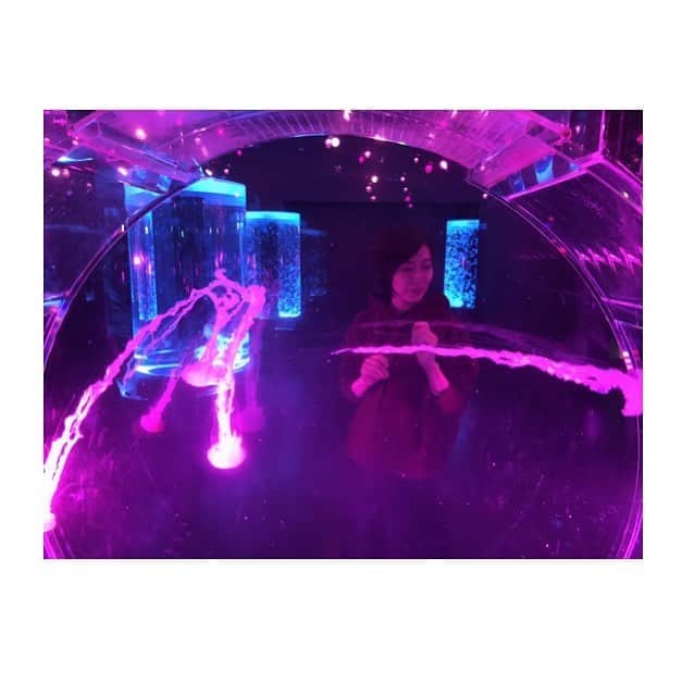 大村彩子のインスタグラム：「水族館🐠  #クラゲ#神秘的#アクアリウム」