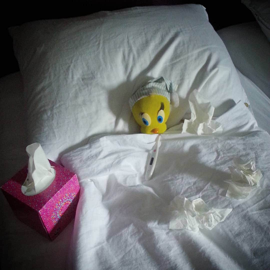 Little Yellow Birdさんのインスタグラム写真 - (Little Yellow BirdInstagram)「Just when I thought I'd made it safely through flu season... #littleyellowbird #tweety #tweetykweelapis #adventures #yellow #bird #flu #fluseason #sick #birdflu #ziek #sickday #stayinginbed #bed #headache #monday #mondayssuck #especiallywhenyouresick #stuffedanimalsofinstagram #plushiesofinstagram」3月25日 22時35分 - tweetykweelapis