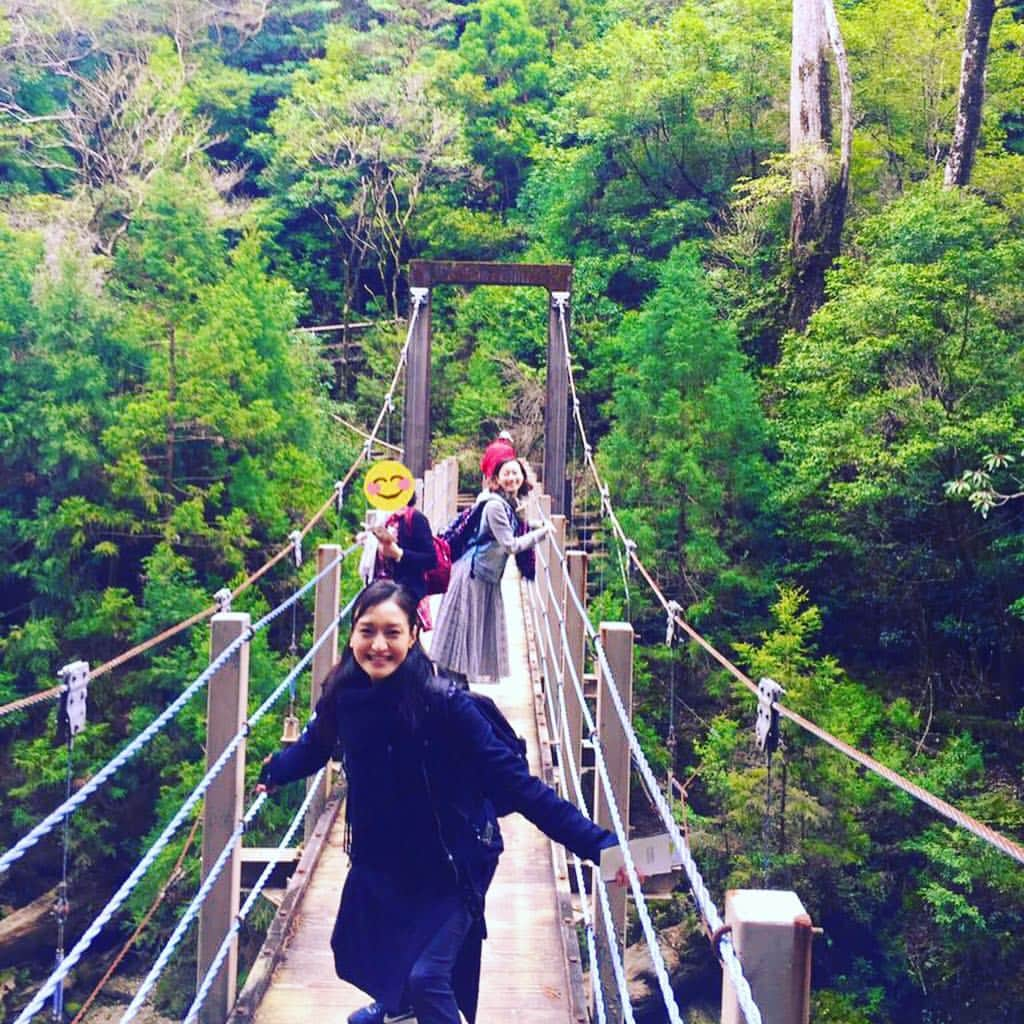 瑞羽奏都（水谷美月）さんのインスタグラム写真 - (瑞羽奏都（水谷美月）Instagram)「『ヤクスギランド』にも行ってきました🌳 時間に限りがあったので、一番短い30分コースでしたが… あちこちに立派な杉の木が✨ パワーが漲るスポット。 ジブリに出てきそうな風景が沢山で、ワクワクでした🎶  #ぱしふぃっくびいなす  #名古屋港  #宝塚og #花組 #天宮菜生 さん  #月組 #瑞羽奏都  #キビート さん ‪#奄美大島 #屋久島 #種子島 #ヤクスギランド」3月25日 22時58分 - mizuki.m_mizuha