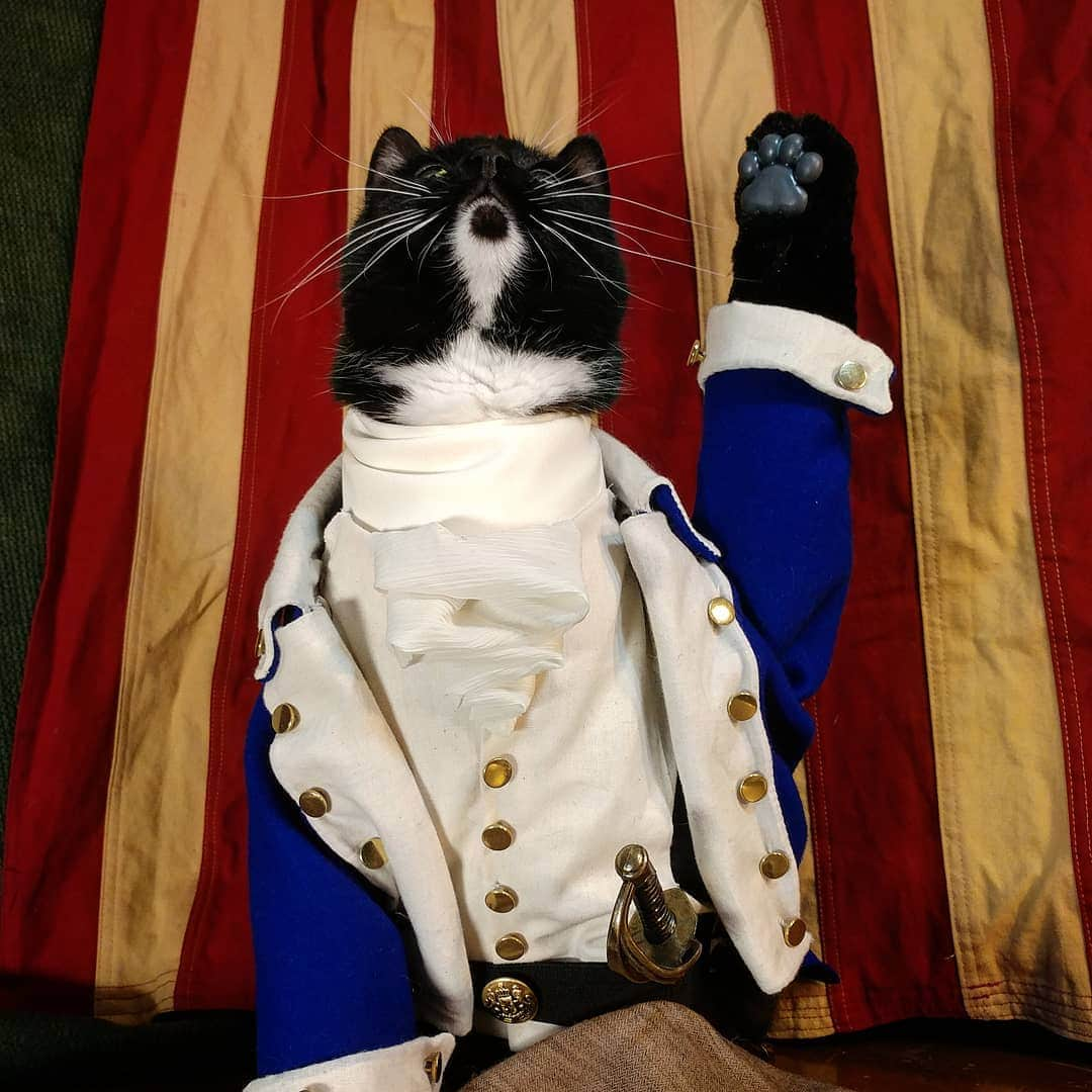 猫コスプレさんのインスタグラム写真 - (猫コスプレInstagram)「Catmilton  #Hamilton #CatCosplay . . . . . . . . . #alexanderhamilton #hamiltonthemusical #broadway #cosplay #cosplayer #pun #funny #humor #catcostume #petcostume #instagrammodel」3月25日 23時17分 - cat_cosplay