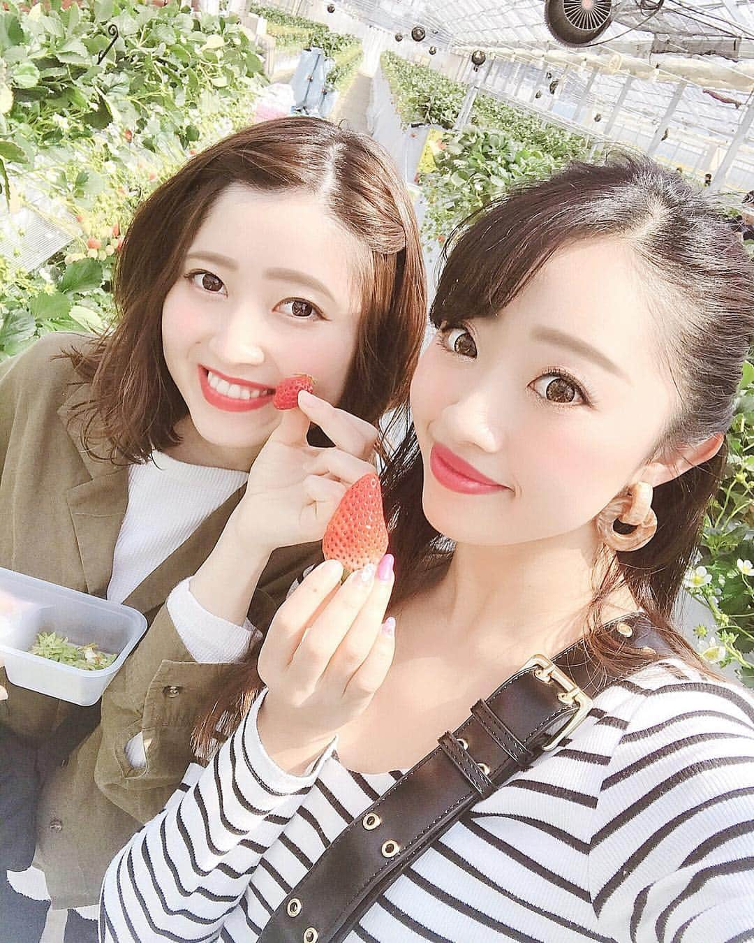 駄原杏里沙さんのインスタグラム写真 - (駄原杏里沙Instagram)「＊ 2019.3.25 毎年恒例のイチゴ狩り💕 今年は4人でドライブしながら🚗 まぃのお腹も大きくなってて 今からbabyちゃんが楽しみ👶💗 #strawberry#sayama#drive  #instagood#instafashion  #l4l#like4likes#followme #イチゴ狩り#いちご#いちご狩り  #毎年恒例#狭山#カメラ女子#ドライブ #田舎は空が広い#狭山ベリーランド  #いいね#いいね返し#フォロミー」3月26日 10時18分 - arisadahara_bl8m