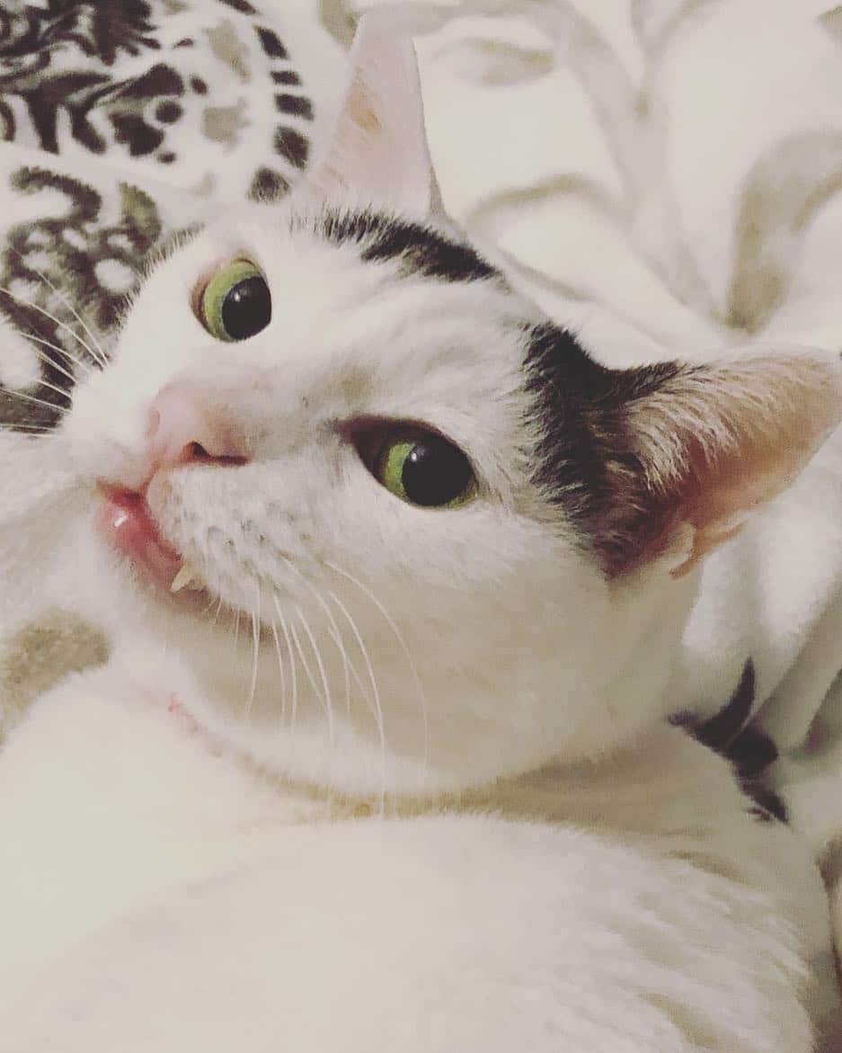 Siznaのインスタグラム
