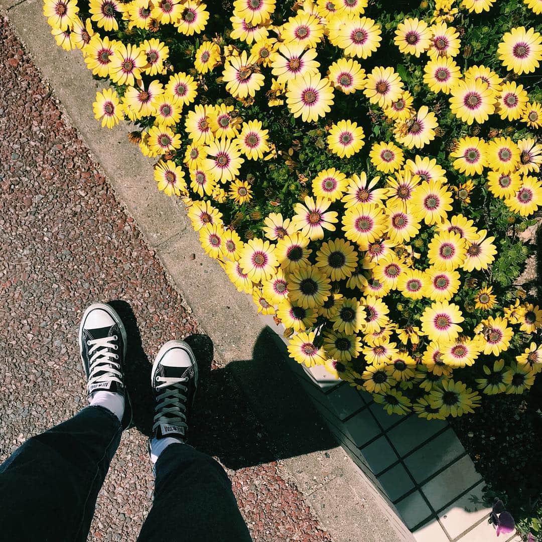 maai0528さんのインスタグラム写真 - (maai0528Instagram)「〻 OHY☀︎ 連休楽しかったなー☺︎ ． ． いろんなとこいけたし とーっても満足♡ ． 今日からまた元気にいってきまーす🦒 ． ． #happy #enjoy #work #converse  #MOUSSY #flower」3月26日 9時22分 - maai0528