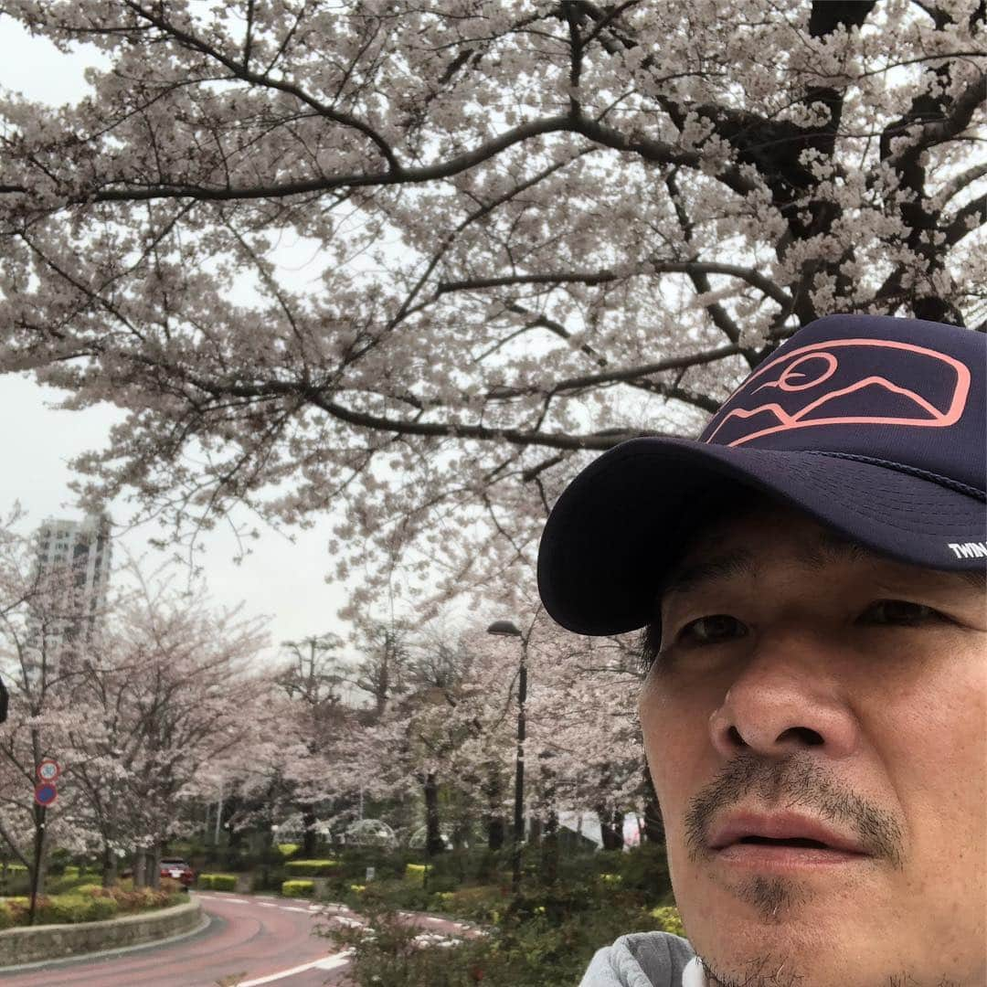 伊原剛志さんのインスタグラム写真 - (伊原剛志Instagram)「朝散歩  1時間。 東京はちょっと寒い。 けど、気持ち良い。 今週末かな？満開は。」3月26日 9時23分 - tsuyoshi_ihara