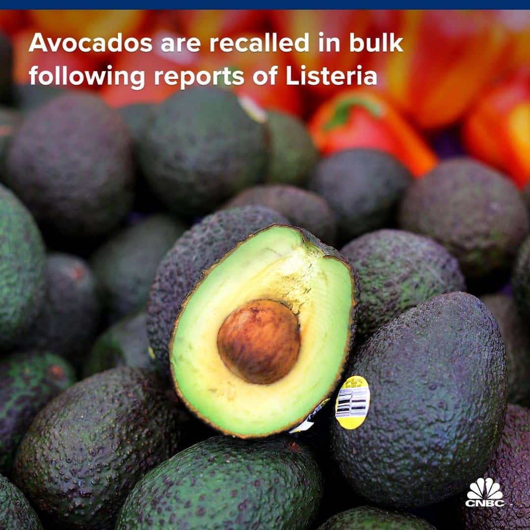 CNBCさんのインスタグラム写真 - (CNBCInstagram)「🗣️Do you know where your avocados were grown?⁣ ⁣ Avocado retailer Henry Avocado is recalling California-grown avocados sold in bulk after routine testing showed samples contained Listeria.⁣ ⁣ Both conventional and organic avocados are recalled and packages were shipped to Arizona, California, Florida, New Hampshire, North Carolina and Wisconsin.⁣ ⁣ The California plant did not begin packing avocados until January 2019, so all products are being recalled.⁣ ⁣ You can read more on the recall, at the link in bio.⁣ ⁣ *⁣ *⁣ *⁣ *⁣ *⁣ *⁣ *⁣ *⁣ ⁣ #Avocado #Avocados #Bravocado #Food #Vegan #Vegetarian #CleanEating #Organic #NonOrganic #California #Produce #Listeria #Contaminated #Health #News #recall #business #BusinessNews #CNBC⁣」3月26日 1時30分 - cnbc