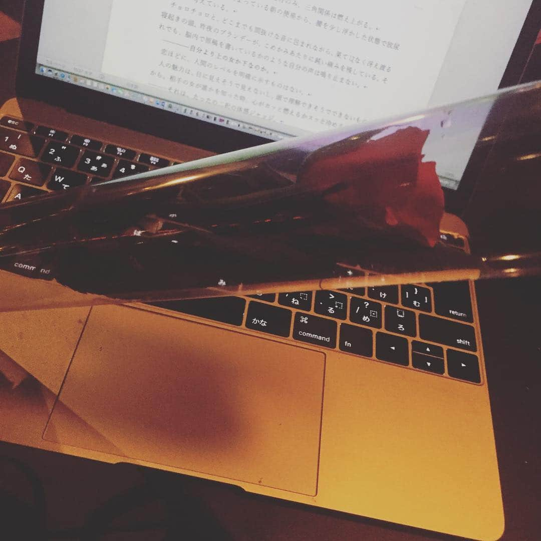 LiLyさんのインスタグラム写真 - (LiLyInstagram)「原稿書いてたら、 疲れたの？大丈夫？ って女友達が薔薇を 持って来てくれた🌹  @gorockyou  ありがとう😘  #lilysdiary2019」3月26日 2時07分 - lilylilylilycom