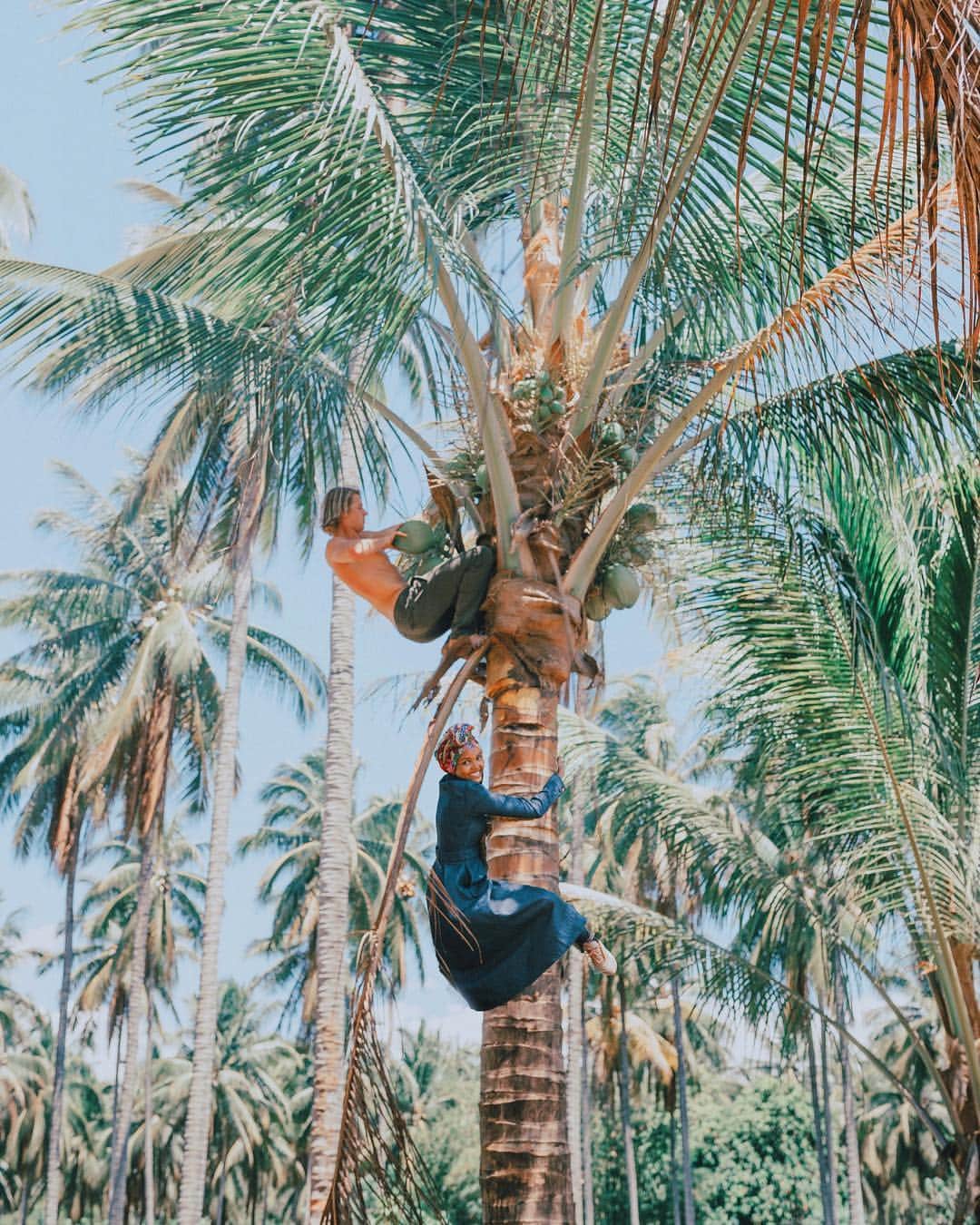 Vita Coco Coconut Waterのインスタグラム：「The Vita Coco Project is something that is near and dear to our hearts here at Vita Coco. We are so glad that we got to share it with both Halima and Sam. And while the trip was packed with coconut education, we also did our fair share of “hanging out” (see what we did there). A huge thank you to everyone who made this trip possible, especially @elnidoresorts for giving us a place to rest our heads and revel in the beauty of the Philippines.  #VitaCocoProject #ElNido」