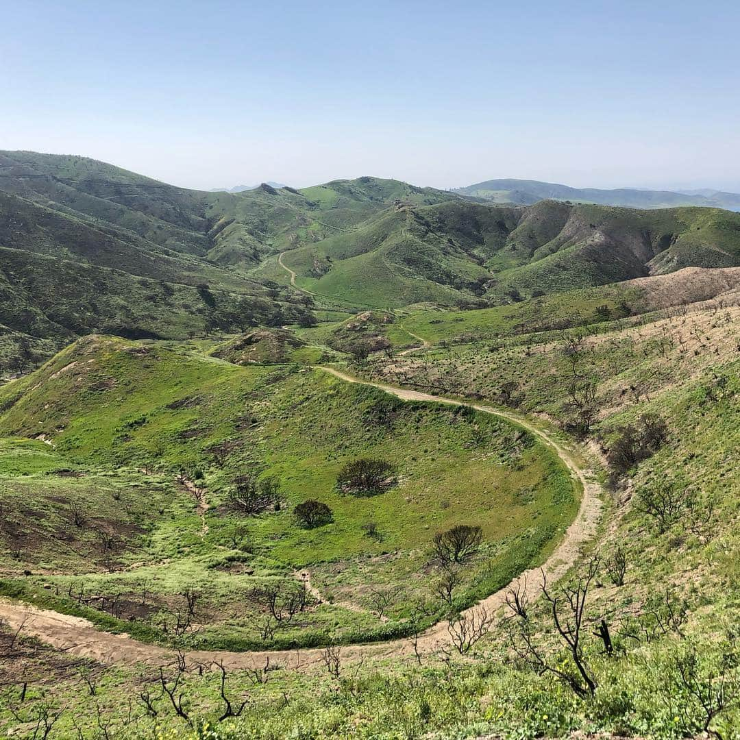 シェーン・ガラースさんのインスタグラム写真 - (シェーン・ガラースInstagram)「Stunning beauty from a mountain bike sesh yesterday. Absolutely gorgeous in SoCal right now! I’m in awe at how Mother Nature takes course. 2 months ago these mountains were completely charred. #nofilter #grateful #mothernature」3月26日 3時16分 - shanegaalaasofficial