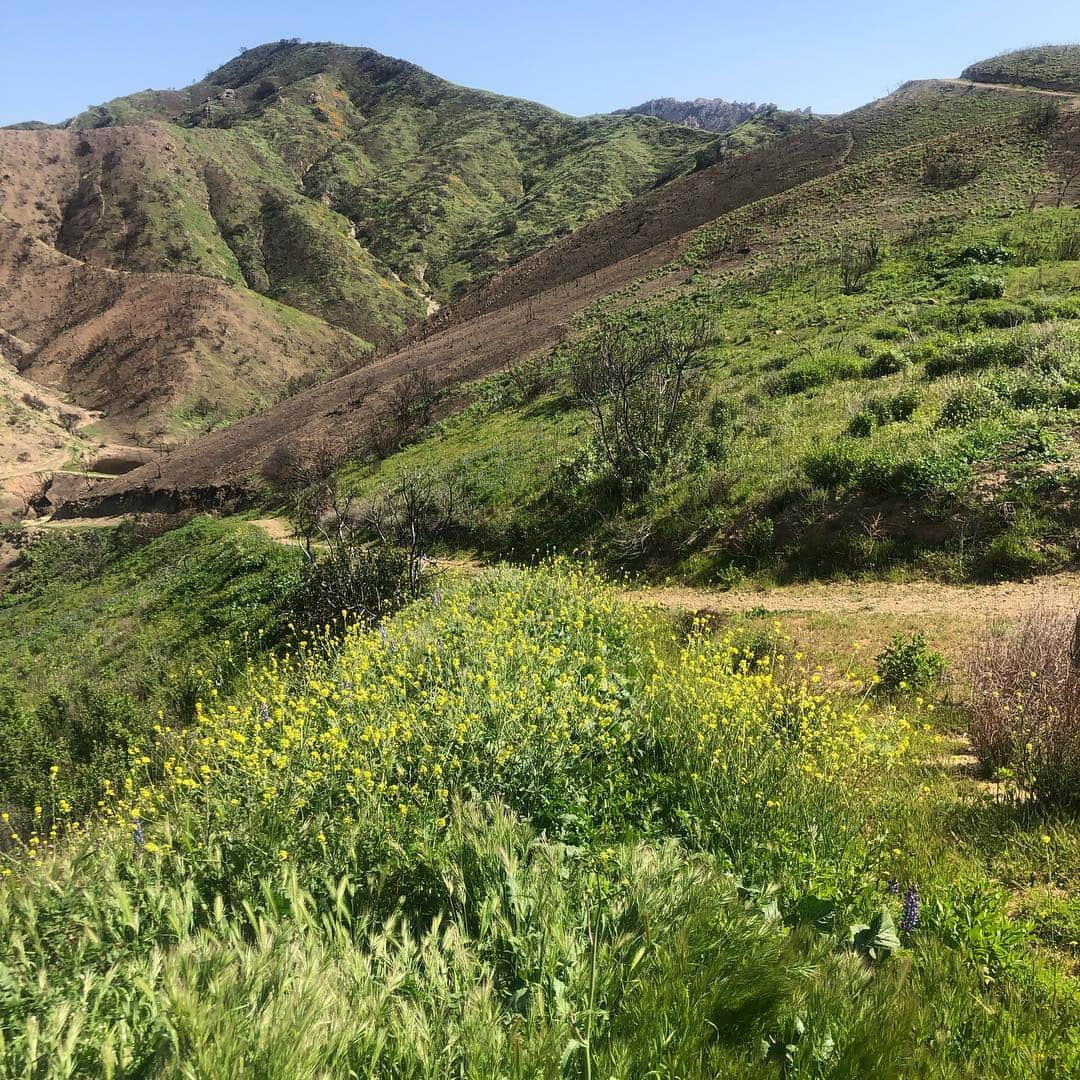 シェーン・ガラースさんのインスタグラム写真 - (シェーン・ガラースInstagram)「Stunning beauty from a mountain bike sesh yesterday. Absolutely gorgeous in SoCal right now! I’m in awe at how Mother Nature takes course. 2 months ago these mountains were completely charred. #nofilter #grateful #mothernature」3月26日 3時16分 - shanegaalaasofficial