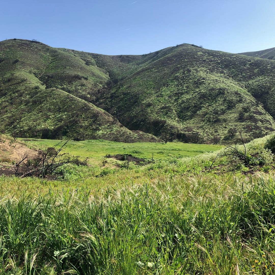 シェーン・ガラースさんのインスタグラム写真 - (シェーン・ガラースInstagram)「Stunning beauty from a mountain bike sesh yesterday. Absolutely gorgeous in SoCal right now! I’m in awe at how Mother Nature takes course. 2 months ago these mountains were completely charred. #nofilter #grateful #mothernature」3月26日 3時16分 - shanegaalaasofficial