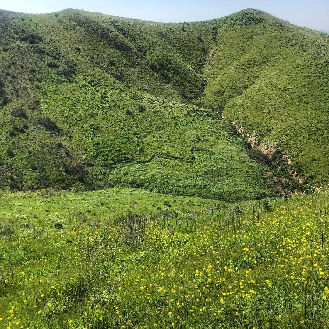 シェーン・ガラースさんのインスタグラム写真 - (シェーン・ガラースInstagram)「Stunning beauty from a mountain bike sesh yesterday. Absolutely gorgeous in SoCal right now! I’m in awe at how Mother Nature takes course. 2 months ago these mountains were completely charred. #nofilter #grateful #mothernature」3月26日 3時16分 - shanegaalaasofficial