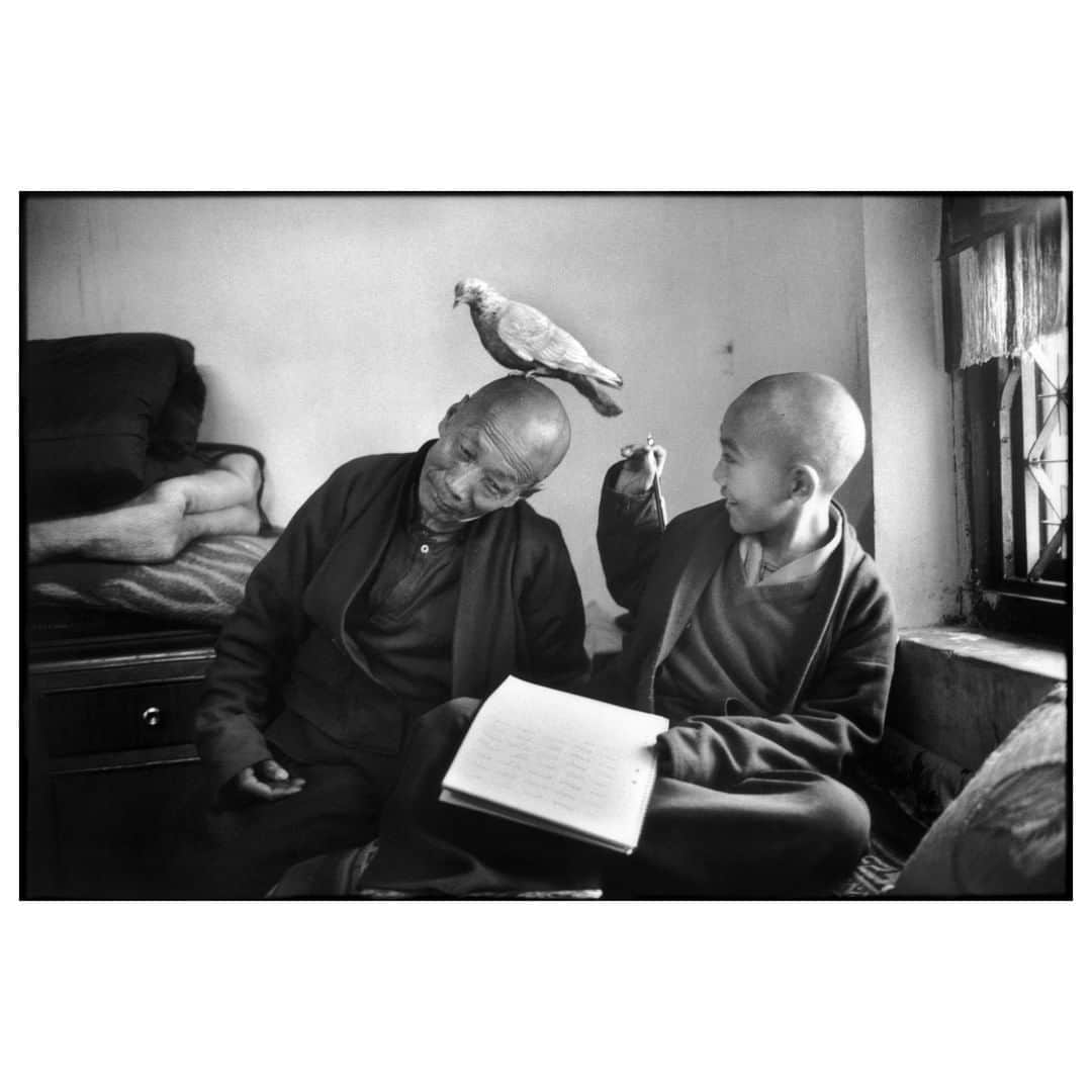 Magnum Photosさんのインスタグラム写真 - (Magnum PhotosInstagram)「"Martine Franck proclaimed wonder, a profound joy in all humanity while struggling, more than anyone, against exclusion with all the empathy she employed so well." - Agnès Sire, @fondationhcb . We look back at the life and work of Martine Franck through a series of extracts from the eponymous monograph. Link in bio. . PHOTO: Tulku Khentrul Lodro Rabsel (12 years old) with his tutor Lhagyel. At the age of 5, Khentrul decided that he had lived enough with his parents and that it was time for him to enter the monastery. Two or three years after their death, important lamas are reincarnated in the body of a child. The search for this child is based on the information left by the lama himself: dreams, visions and the intuition of other lamas. The Tulkus are discovered at 3 or 4 years of age, declared at about 4 or 5 and then enter the monastery at the age of 6. According to the rules of the monastery, each Tulku is instructed by a tutor and is either prevented or restricted from seeing other young monks from their age group. All the Tulkus are called Rinpoche which means "the precious one". Bodnath. Shechen Monastery, Nepal. 1996. . © #MartineFranck/#MagnumPhotos」3月26日 4時01分 - magnumphotos