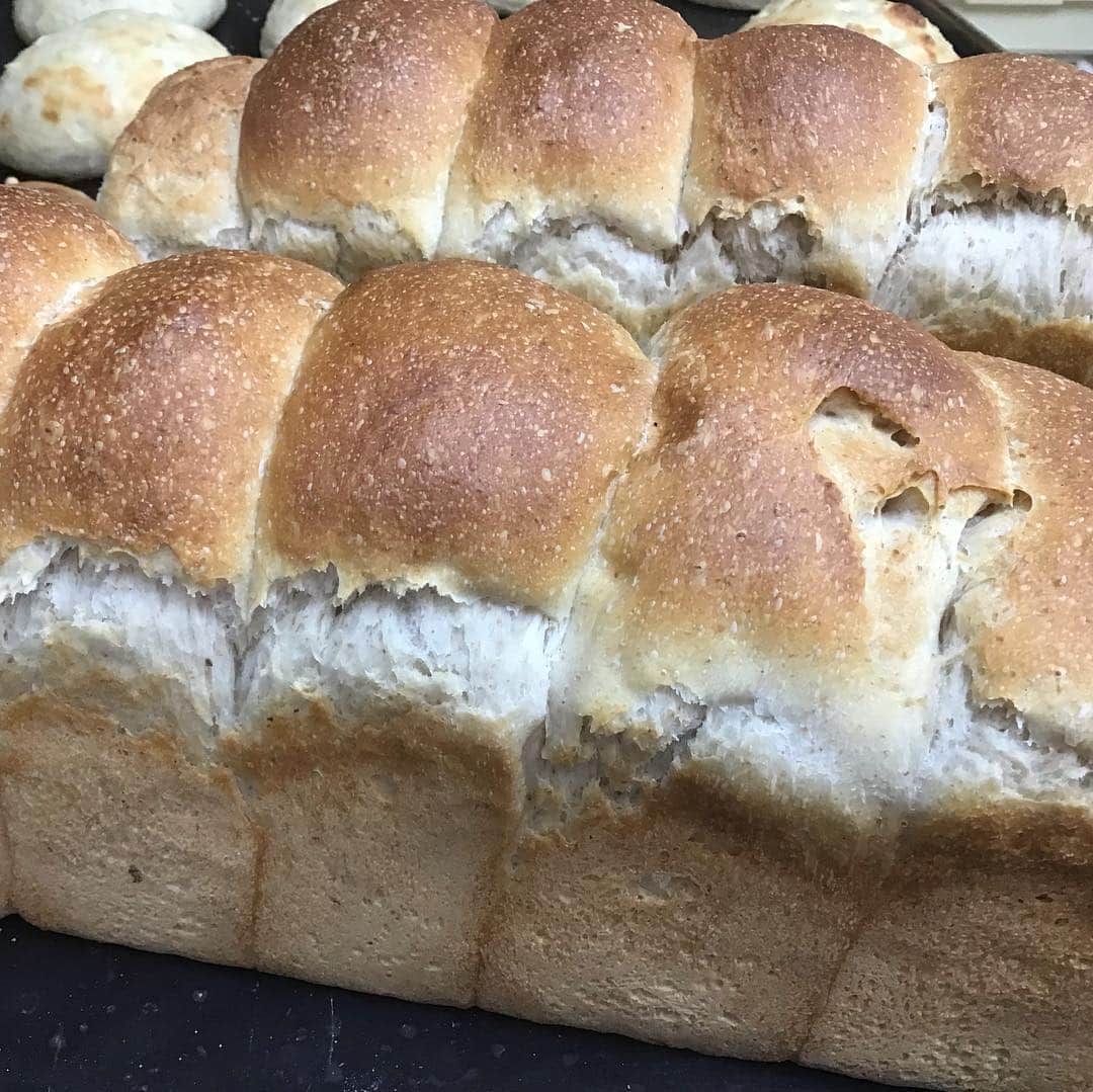 魔女菅原のグルメインスタ