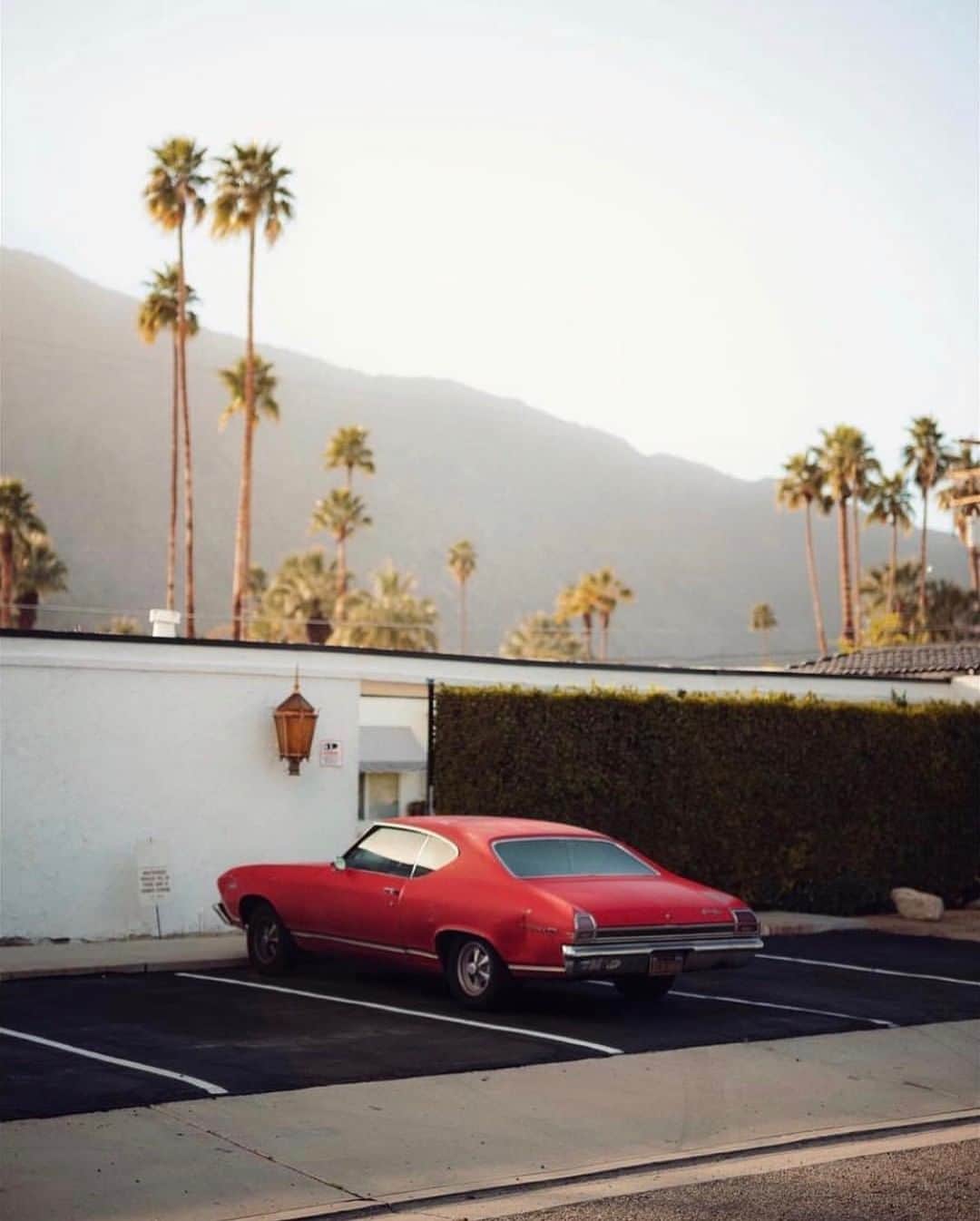 オリバーピープルズさんのインスタグラム写真 - (オリバーピープルズInstagram)「Red Chevrolet Chevelle in Palm Springs #OPInspiration #CaliforniaAsWeSeeIt | Photo: @pauls_motos」3月26日 6時00分 - oliverpeoples