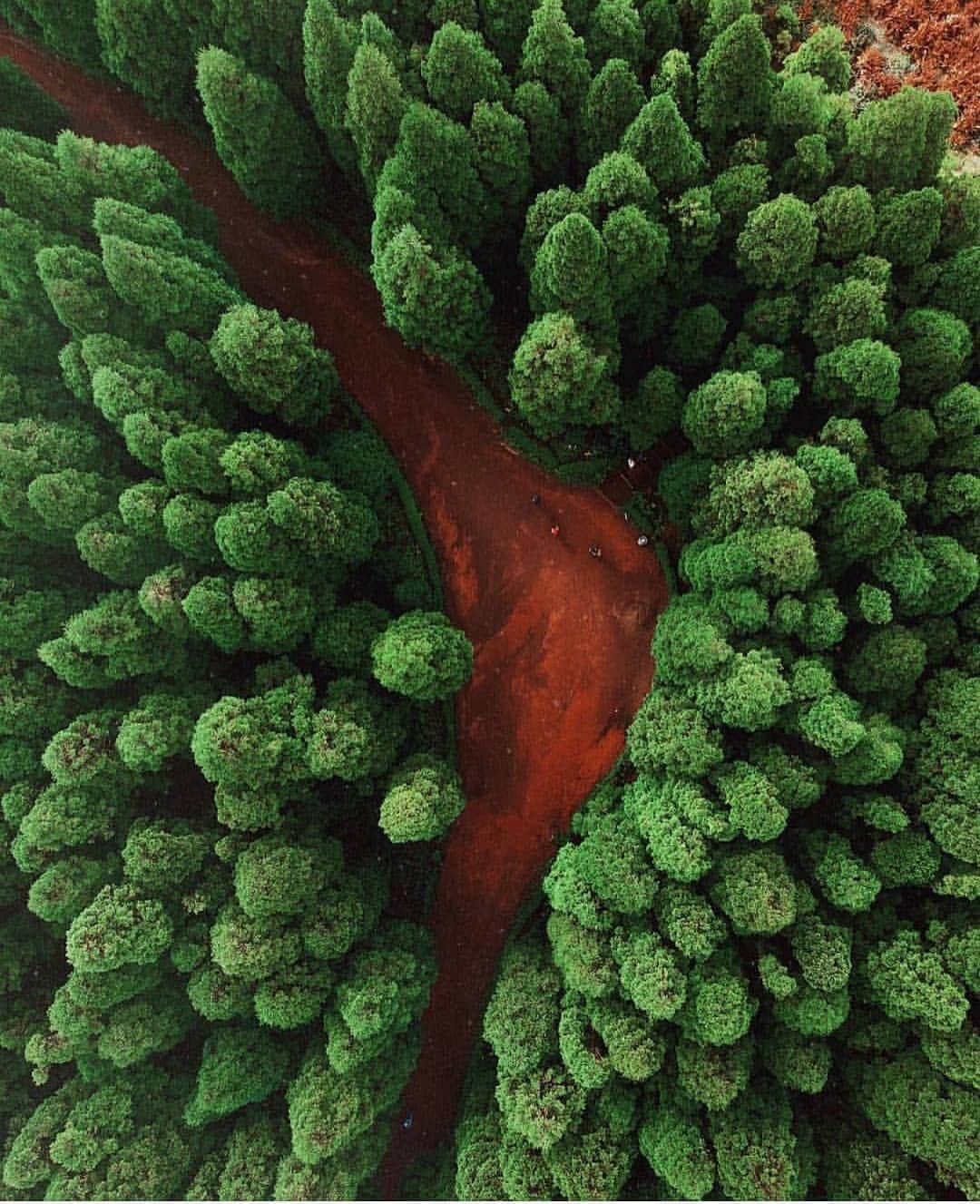 のインスタグラム：「Just see and enjoy this aereal photo by @_johnjase at @igersportugal located at Azores Islands 😍📸 #igersportugal #portugaldenorteasul #igers」