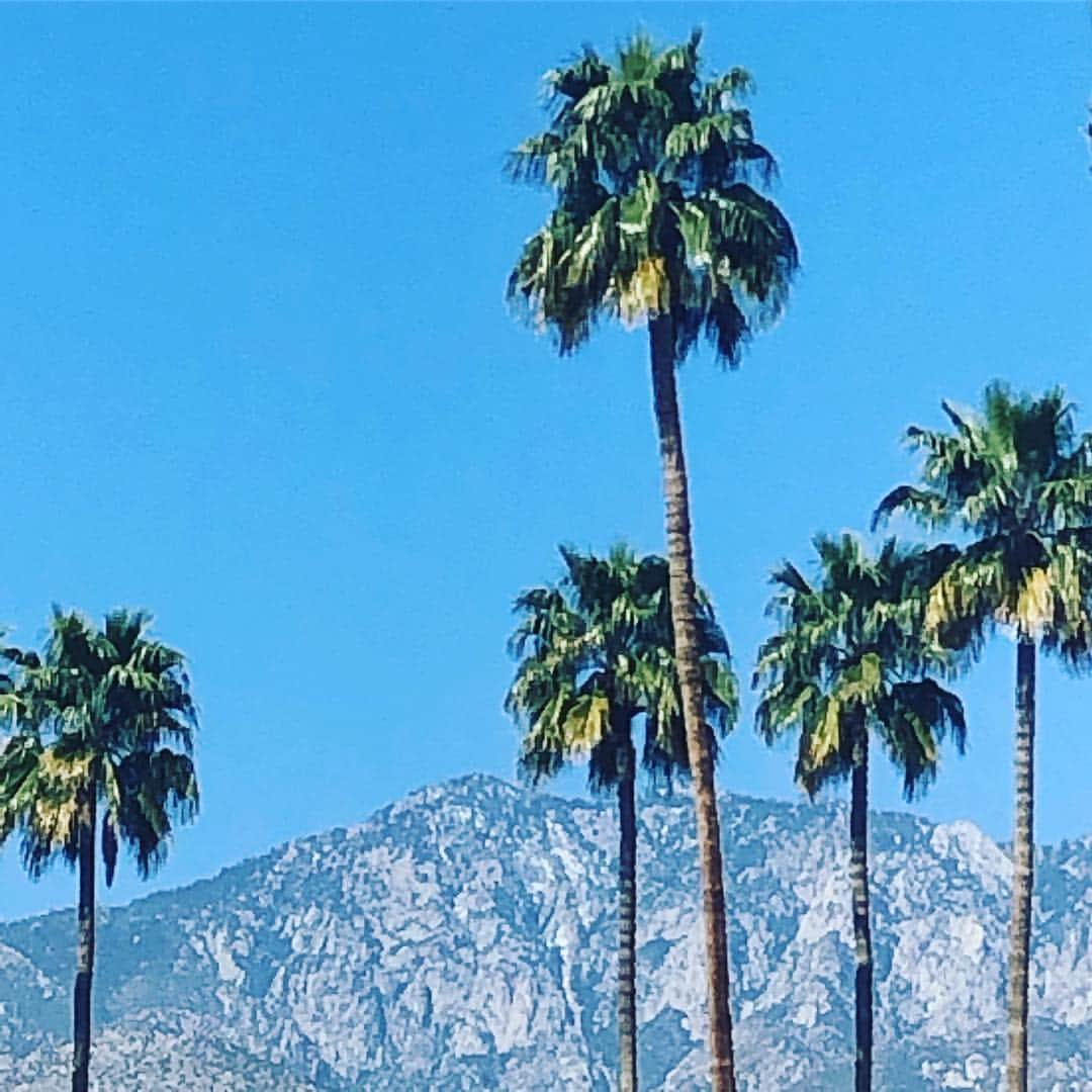 クリステン・リッターさんのインスタグラム写真 - (クリステン・リッターInstagram)「🌴👶🏻🌚」3月26日 6時34分 - therealkrystenritter