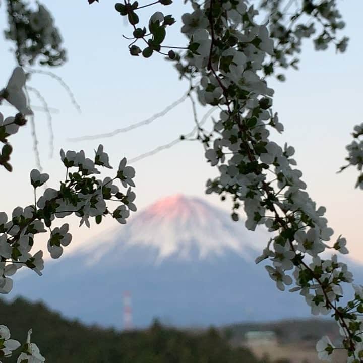 phantastic420のインスタグラム：「. 🤩🤩“Shizuoka” prefecture in Japan is a place where you can see the most “phantastic” Mt. Fuji🗻 in the world.🤩 #富士山 #mtfuji #japan #shizuoka #fujinomiya  #phantastic420photography #mostphantasticmtfuji #selamatpagi  #goodmorning  #おはようございます 😇😇😇😇😇😇😇🗻😇😇 今朝も見えません🗻」