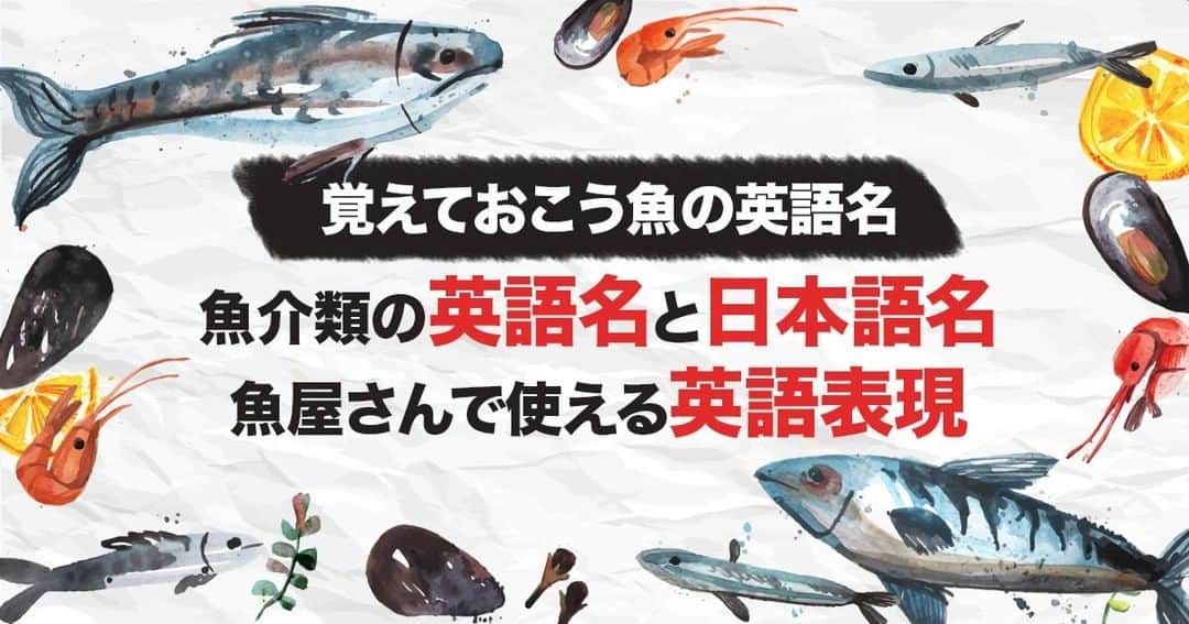 LifeTorontoさんのインスタグラム写真 - (LifeTorontoInstagram)「皆さん、トロントでお魚食べてますか？日本では馴染みのない魚もあって、なかなか手をだしにくいお魚もいっぱいありますね。トロントでの魚の買い方や魚の英語名を、過去に記事でまとめていますので、ぜひ参考にしてみてくださいね〜♪　@lifetoronto.jp のプロフィールに記載👆🏼URLのリンク先からチェックすると記事へ飛びます。⁣⠀⁣ ⁣.⁣⁣ .⁣⠀⁣ .⁣⠀⁣ #魚 #魚介類 #海外の魚 #英語  #英語学習 #英会話 #英語の勉強 #海外 #カナダ #トロント #カナダ生活 #海外生活 #海外暮らし #海外移住 #海外育児 #海外子育て #英語 #留学 #海外留学 #トロント留学 #カナダ留学 #ワーホリ#ワーキングホリデー #カナダワーホリ #ワーホリ生活 #海外出張 #海外就職 #駐在生活 #駐在 ⁣ ⁣ ⁣」3月26日 7時55分 - lifetoronto.jp