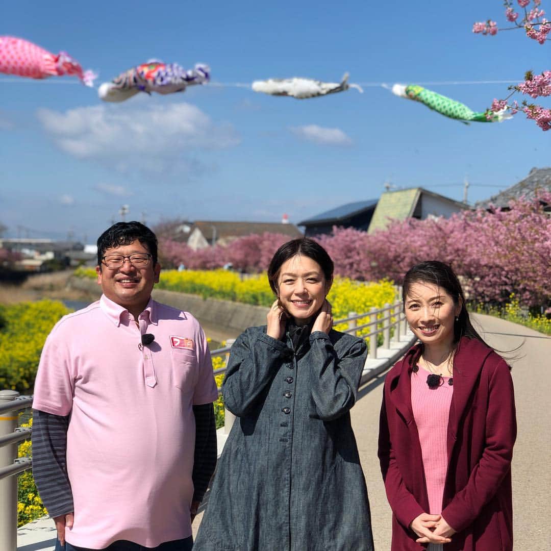 加藤紀子のインスタグラム：「明日朝9時50分〜生放送 東海テレビ「スイッチ！」、 水曜メンバー揃って春の渥美半島へ。 途中からはMC陣も参加、 いつも以上に個々のキャラクターを楽しんで頂ける回かと思います。 観れる地域の皆さま、是非お付き合い頂き、お楽しみ頂けたら嬉しいです😌 よろしくお願いします🙏✨ #東海テレビスイッチ水曜日」