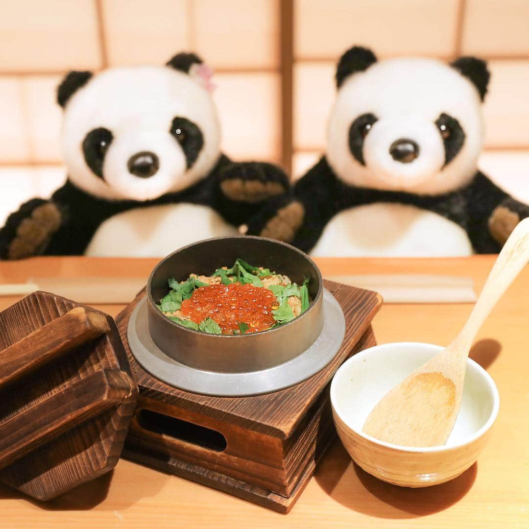 アトレ上野（atre ueno）さんのインスタグラム写真 - (アトレ上野（atre ueno）Instagram)「まいかの人気メニュー、紅鮭といくらの親子釜飯を食べにきたよ🐾 お米が美味しいのはもちろん、鮭はふわふわ、いくらはプリプリでおかわりしたくなるおいしさだよ💓 自分好みのおこげを作って食べるのがおすすめの食べ方🤤💓 ぜひ食べにきてね🐼🎵 ・ Here for Maika’s popular menu—red salmon and roe kamameshi 🐾 The combination of the fragrant rice and fluffy salmon and roe toppings made me feel like going for seconds 💓 As a personal preference, I would recommend having it with slightly scorched rice 💓 Do try it 🐼🎵 ・ 我們在Maika點了它們最受歡迎的一道紅鮭魚卵釜飯 🐾 香噴噴的飯配上蓬鬆的紅鮭和魚卵令我想多點一份 💓 我個人覺得配鍋巴吃比較爽口，介紹您試一試 💓 記得要來品嚐哦 🐼🎵 ・ ・ ・ #上野 #アトレ上野 #アトレ #atre #atreueno #パンダ #上野パンダ #上野散策 #熊猫 #東京觀光 #PANDA #🐼 #ueno #tokyotour #ぬい撮り #上野観光 #まいか #紅鮭 #uenolunch #tokyolunch #親子釜飯 #釜飯 #窯めし #東京ランチ #上野ランチ #上野ディナー #パンダマニア #和食ランチ #tokyodinner #japanesefood」3月26日 18時06分 - atre.ueno