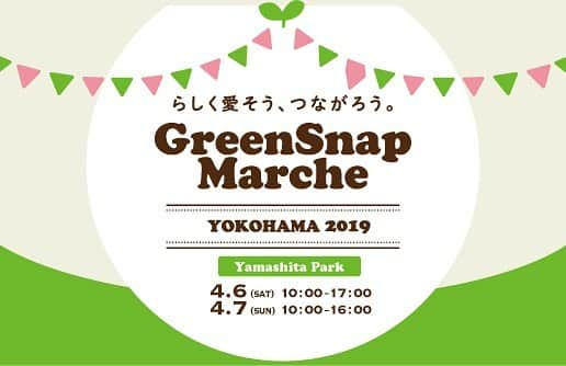 みどりで、つながる GreenSnapさんのインスタグラム写真 - (みどりで、つながる GreenSnapInstagram)「【今年も開催✨GreenSnap marche YOKOHAMA🌱】 . . 昨年も大好評だった 『GreenSnap marche YOKOHAMA』 今年も開催します！！✨👏🌿 . . 山下公園お祭り広場にて、 人気ユーザーさんや、様々なジャンルの有名店が集まり、ワークショップや物販のブースが立ち並びます🎵 今年も見どころ盛りだくさんですっ！ . . . ◇日程 4月6日(土) 10:00〜17:00 4月7日(日) 10:00〜16:00 . . .  花と緑を楽しむイベント「Green Snap marcheYOKOHAMA 2019」は下記↓URLより要チェック🍀 ・ https://greensnap.jp/page/32 . . . #GreensnapMarche #greensnapmarcheyokohama2019」3月26日 18時41分 - greensnap.jp