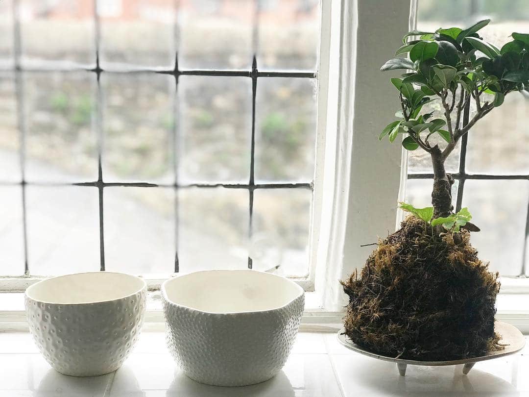 Rie fuさんのインスタグラム写真 - (Rie fuInstagram)「Ceramic bowls by @ikukoikik 私がまだ大学生の頃からずっと一貫したドットスタイルのいくこちゃんの作品。植物と並べると有機的にも見える🦖#ceramics #bowl #plants #greenery #home #kitchen #ikukoiwamoto」3月26日 18時45分 - riefuofficial