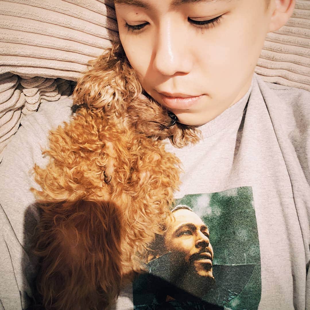 清水翔太さんのインスタグラム写真 清水翔太instagram 狭いところに顔いれがち 3月26日 19時01分 S Shota0227