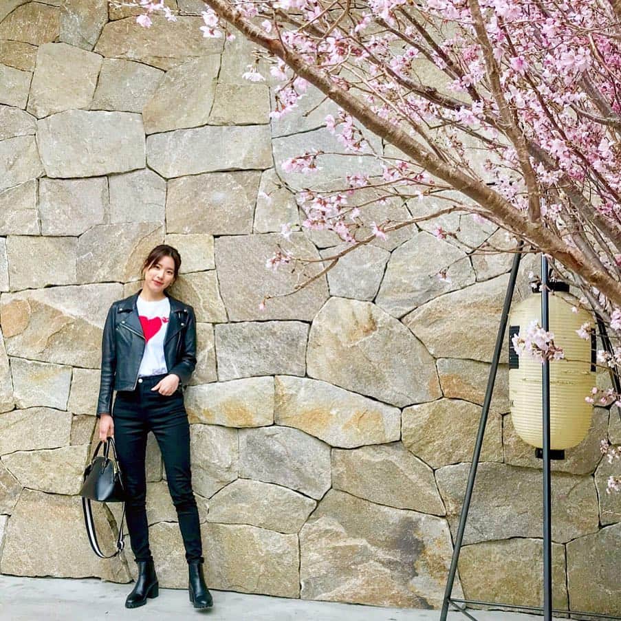 布川桃花さんのインスタグラム写真 - (布川桃花Instagram)「TRUNK HOTEL前の桜🌸 Tシャツは頂き物👐🏻 #momoka_fashion」3月26日 19時08分 - momoka_fukawa