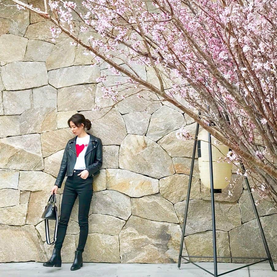 布川桃花さんのインスタグラム写真 - (布川桃花Instagram)「TRUNK HOTEL前の桜🌸 Tシャツは頂き物👐🏻 #momoka_fashion」3月26日 19時08分 - momoka_fukawa