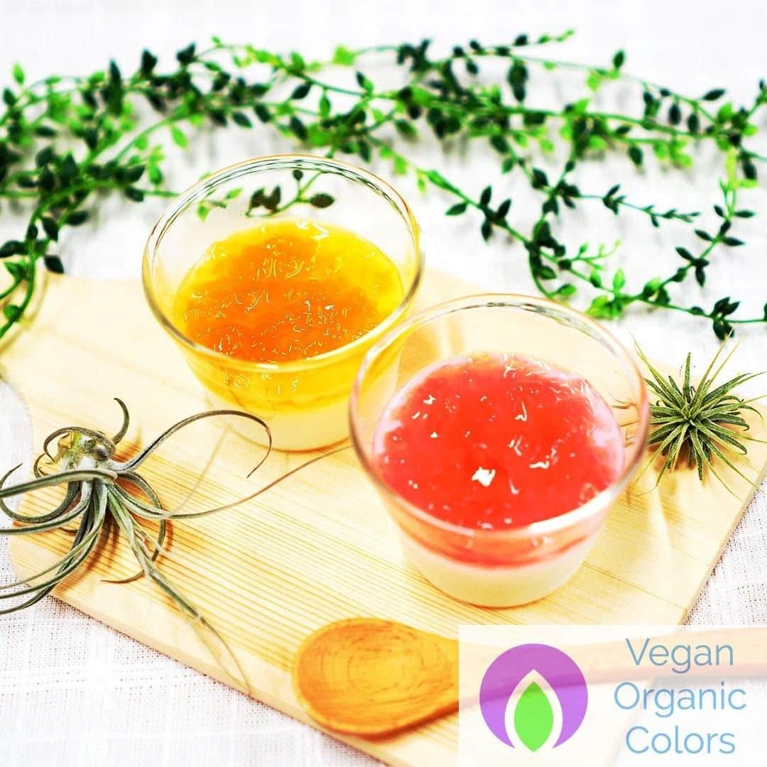 Vegan Organic Colorsのインスタグラム：「Roselle🌹 and Turmeric🌻 Panna cotta! Lovely color is from @organiccolors 💙 #pannacotta #pannacottaliquid #pannacottasalata #PannaCottaFitDaMai #PannaCottaFit #pannacottaalcaramello #pannacottaaifruttidibosco #pannacottalowcarb #pannacottaparty #pannacottalampung」